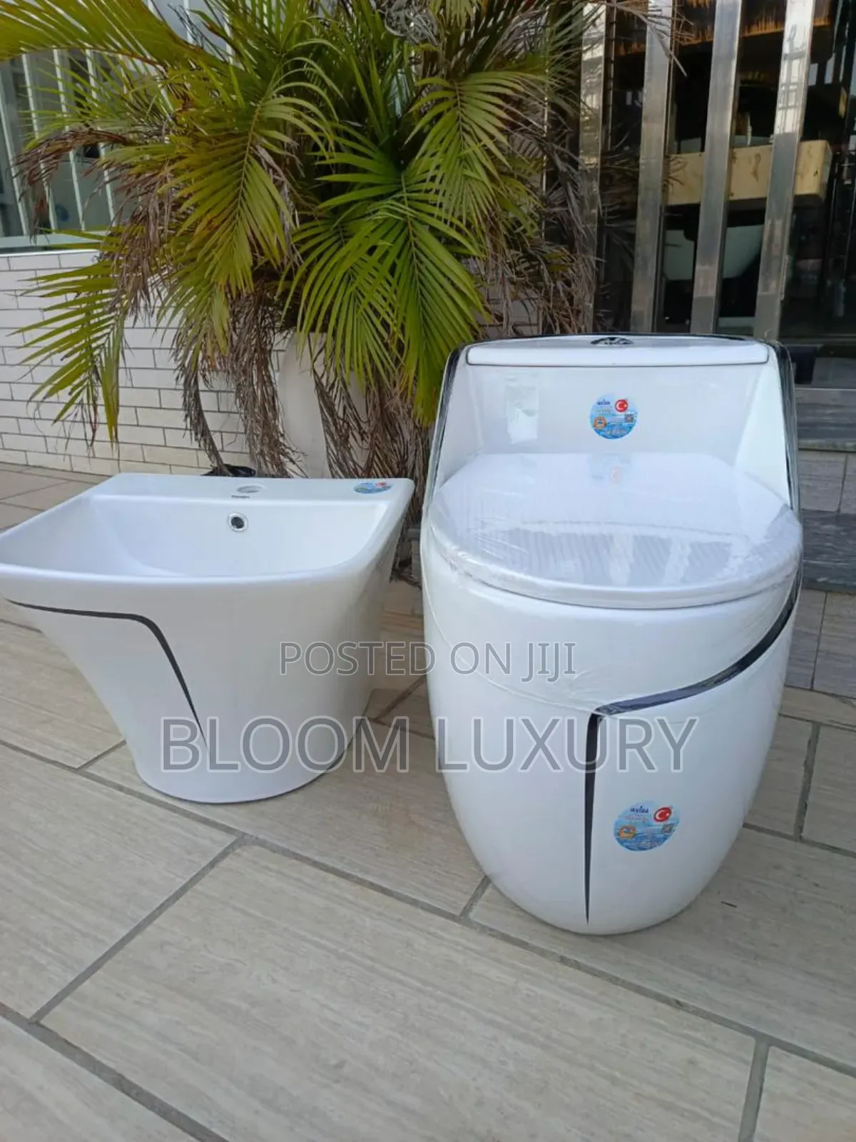 White/Black Design Water Closet