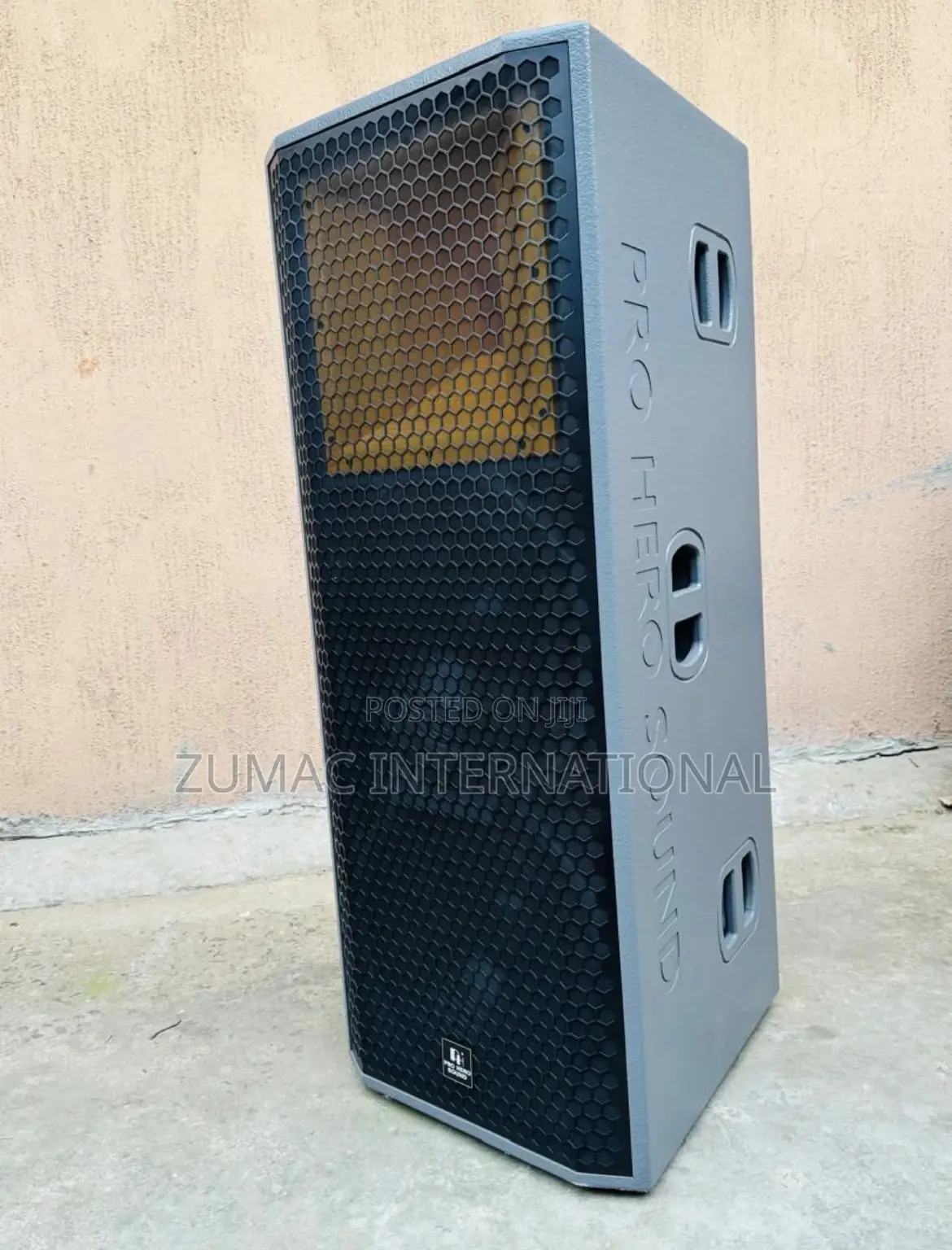 Pro Hero Sound 2 in 1 Speaker