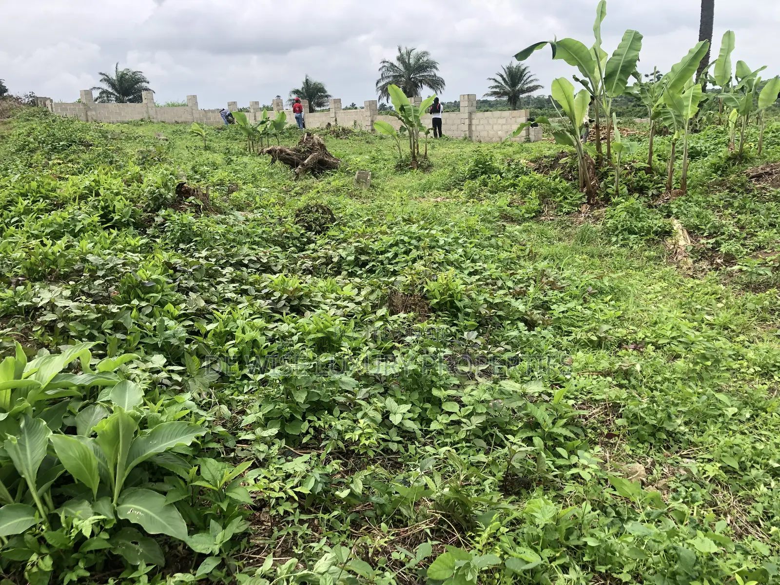 Land in Lotanna Estate Ngor Okpala Owerri