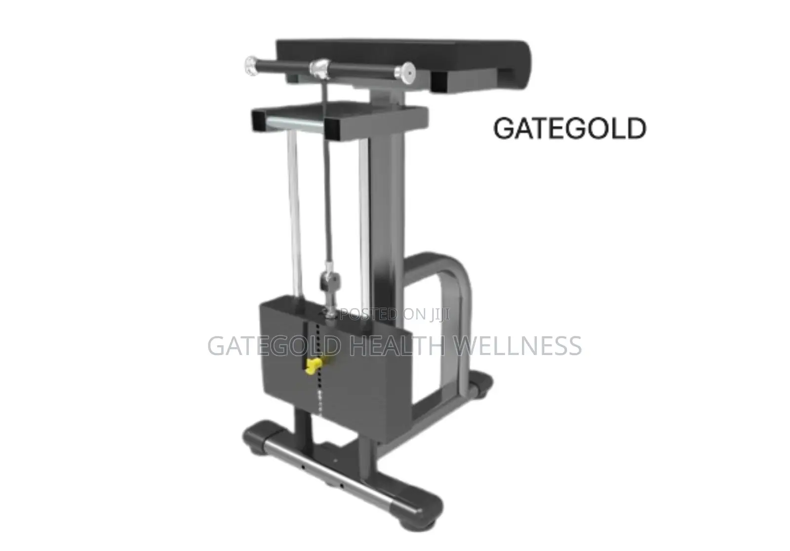 Wrist Curl DFT-1268