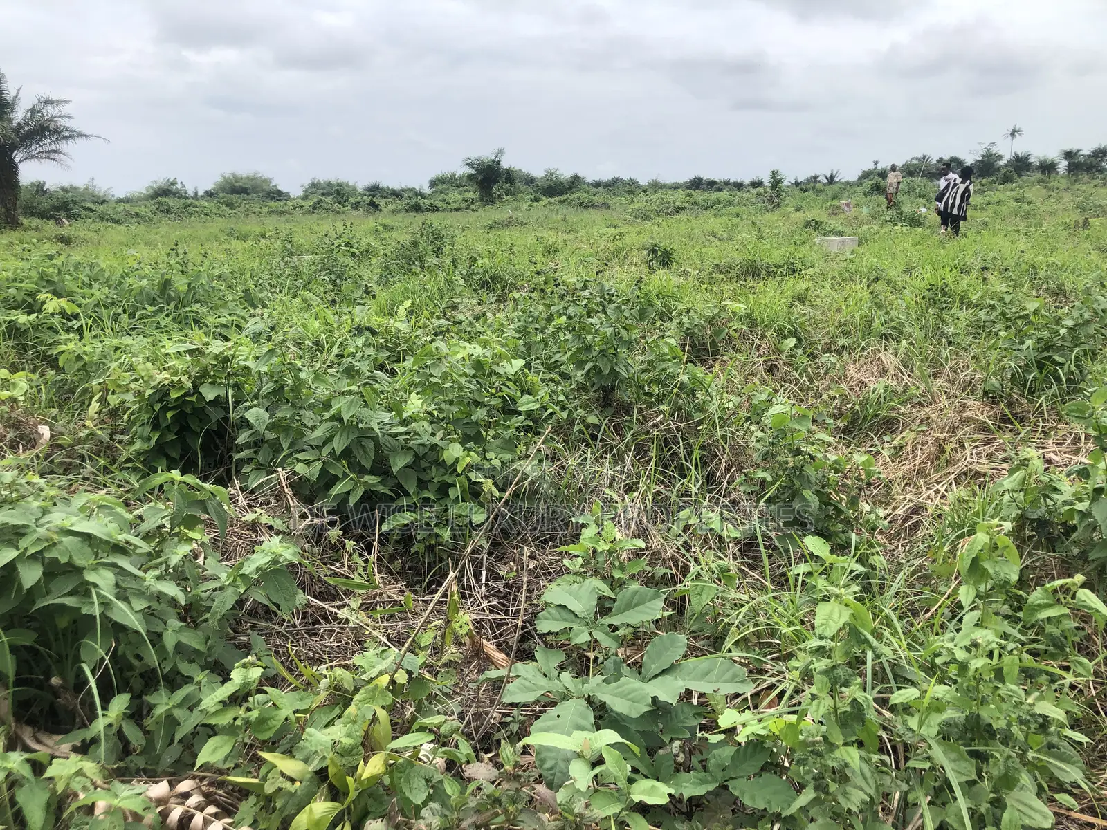 Land in Legacy Haven 2 Ogwashi Uku, Asaba