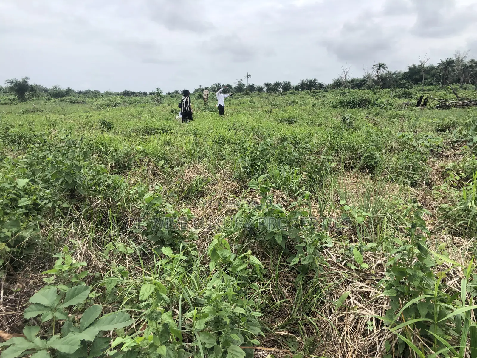 Land in Legacy Haven 2 Ogwashi Uku, Asaba