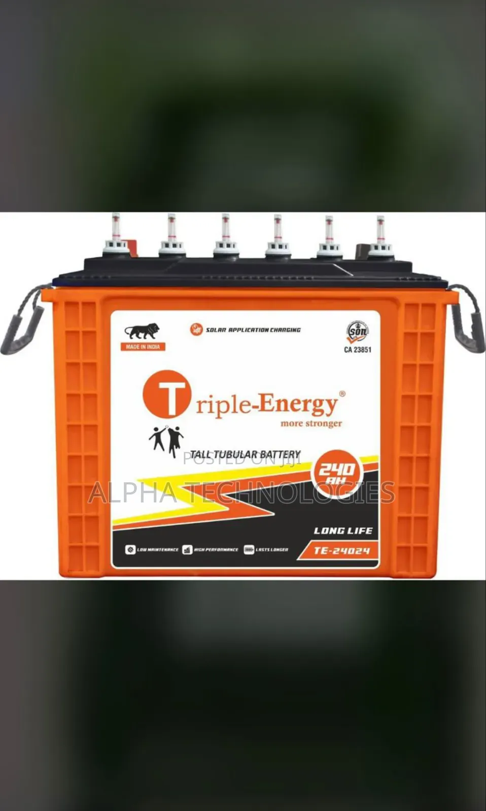 Triple Energy 220a Wet Cell Battery
