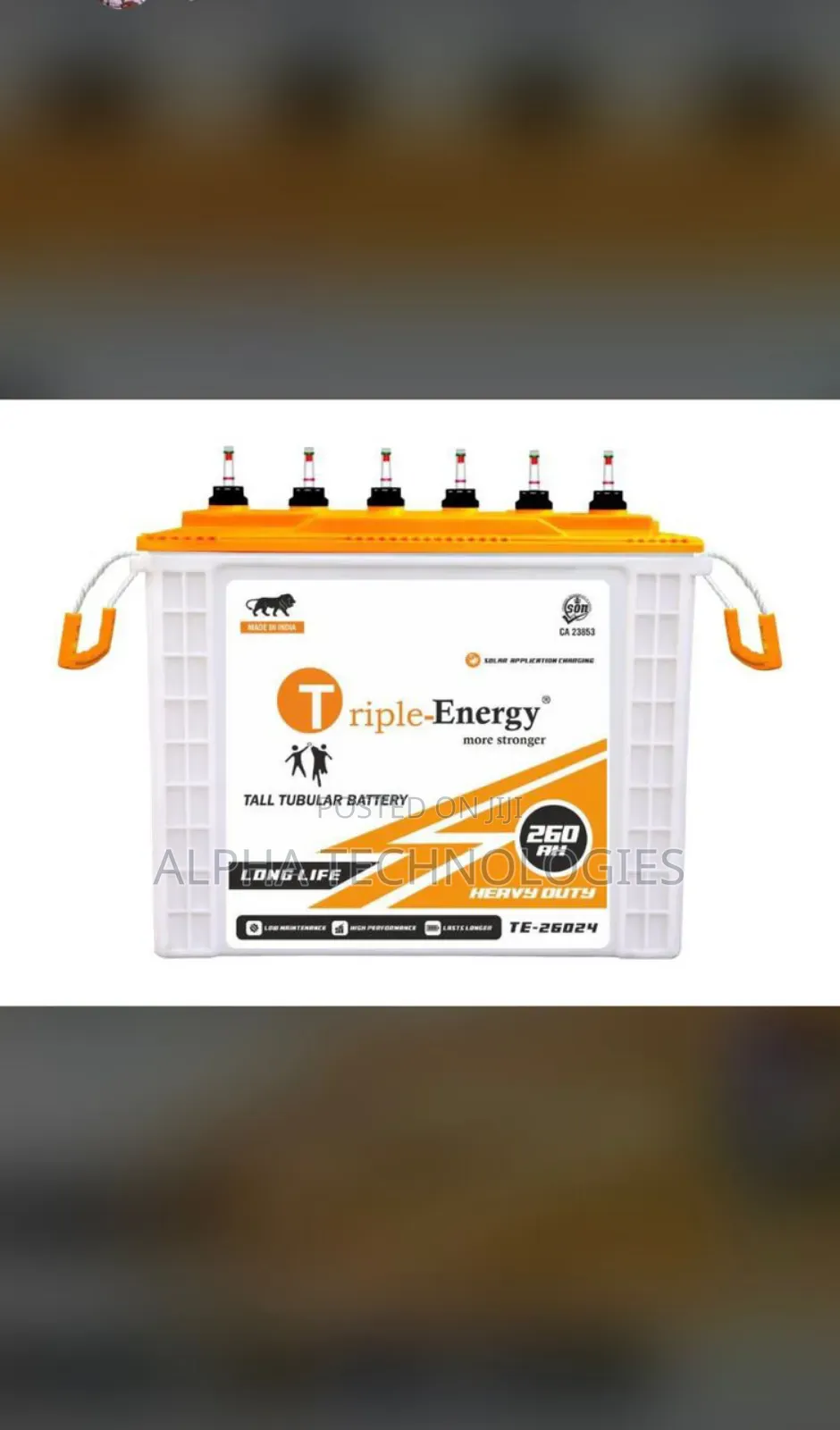Triple Energy 220a Wet Cell Battery