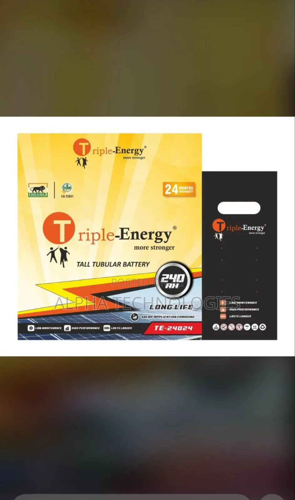 Triple Energy 220a Wet Cell Battery