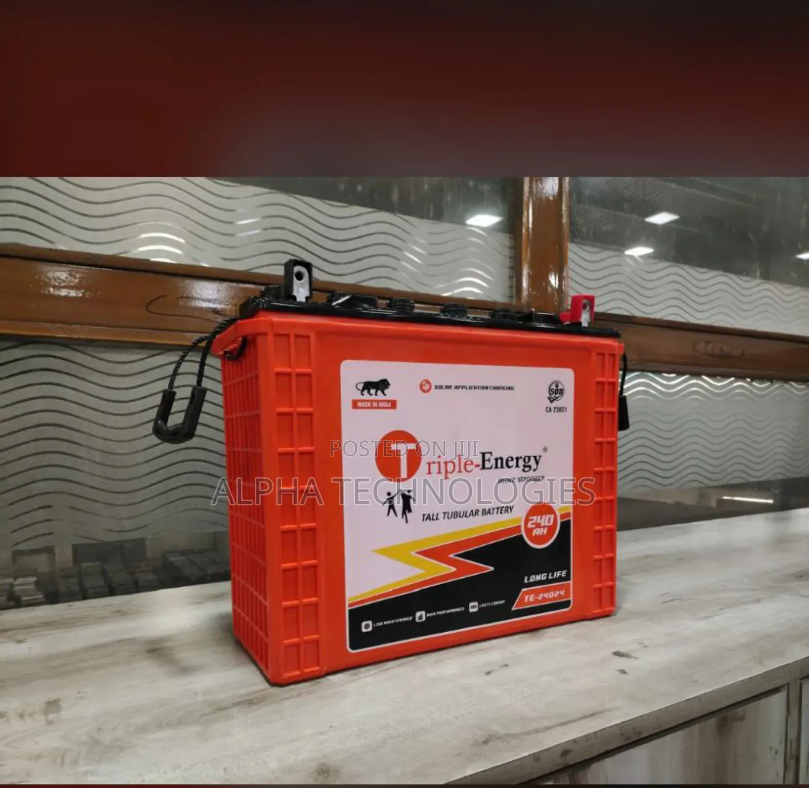 Triple Energy 220a Wet Cell Battery