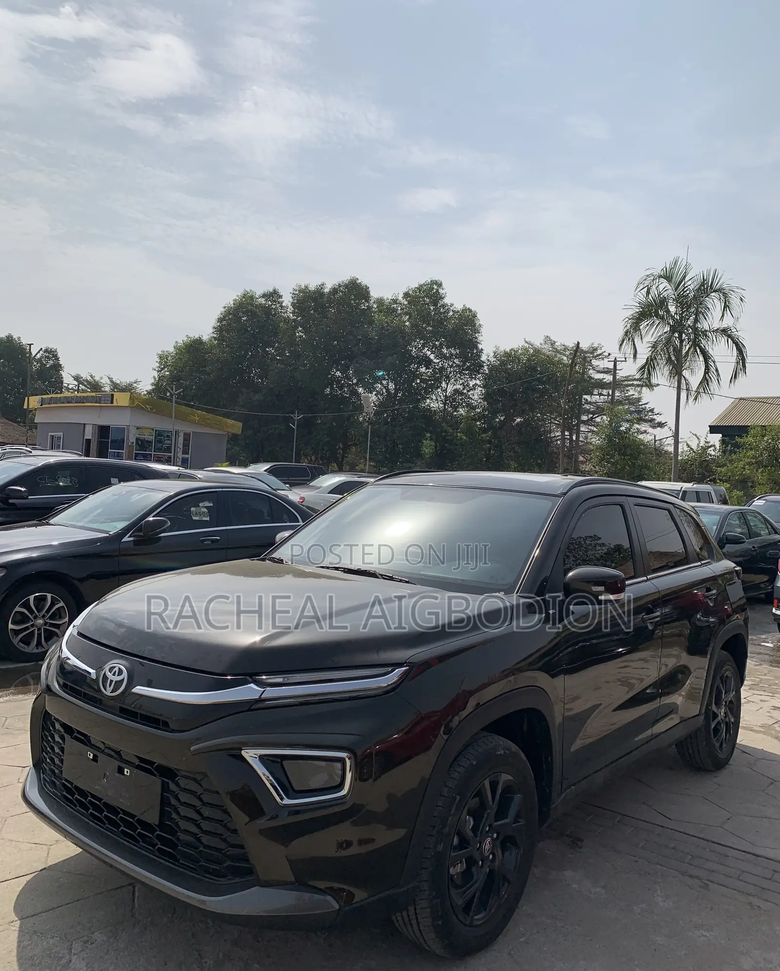 Toyota Urban Cruiser 2025 Gray