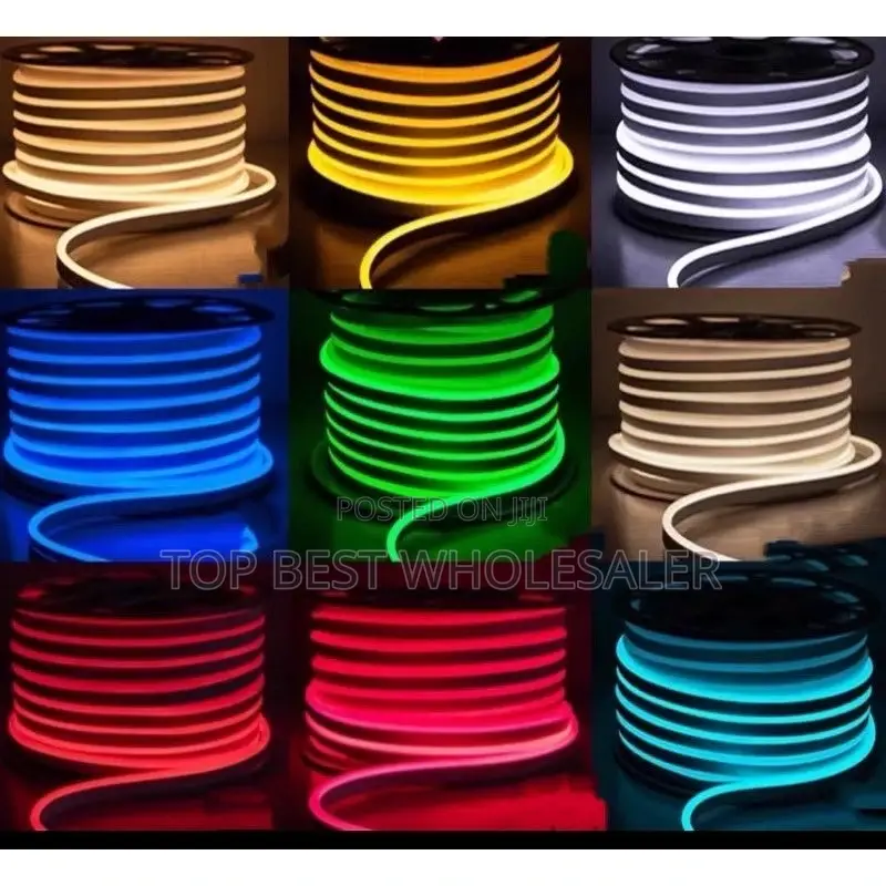 Original Neon Rop Light Carton