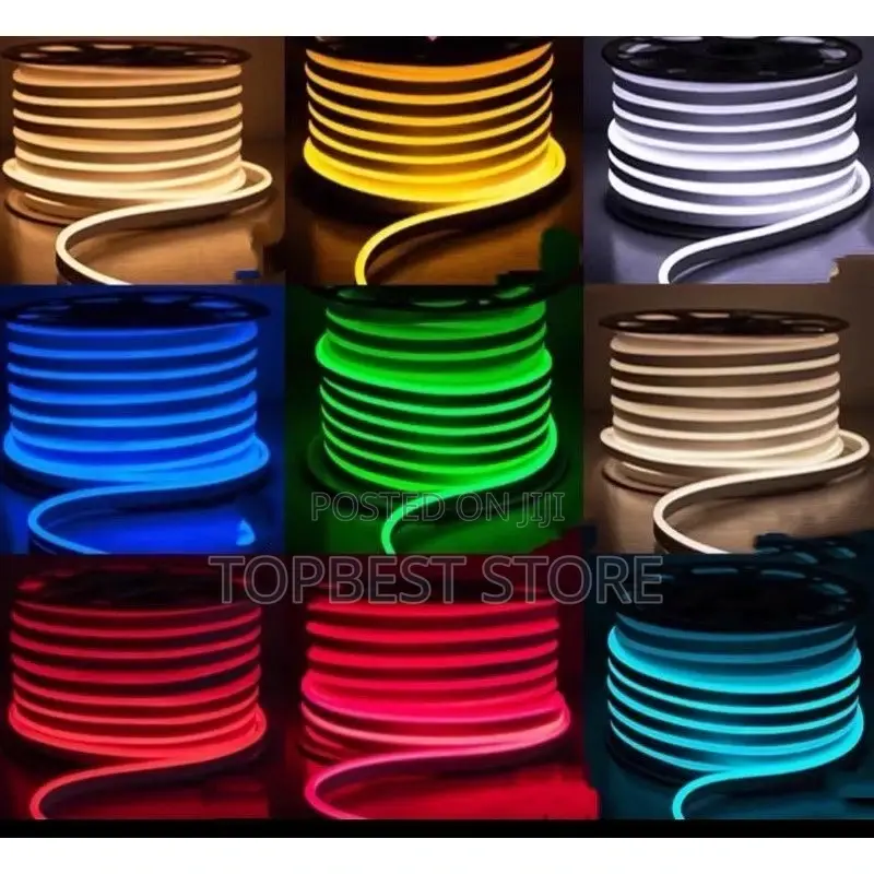 Original Neon Rop Light Carton