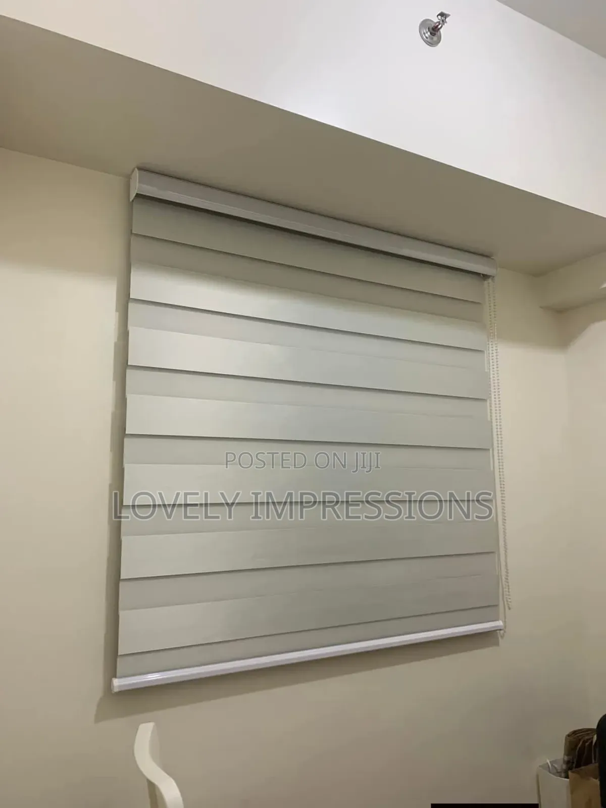Lovely Day And Night Window Blinds