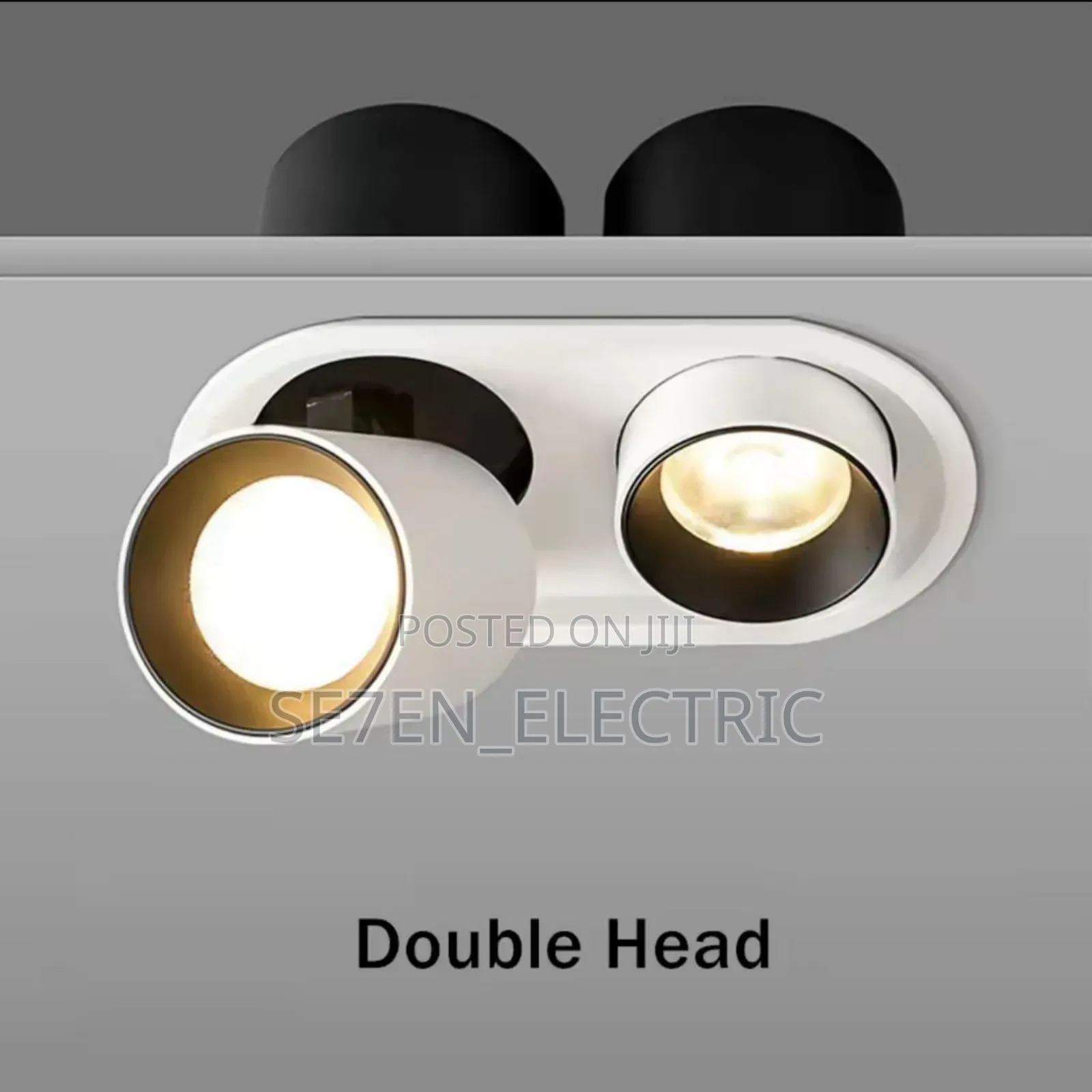 2in1 Ceiling Spotlight Adjustable