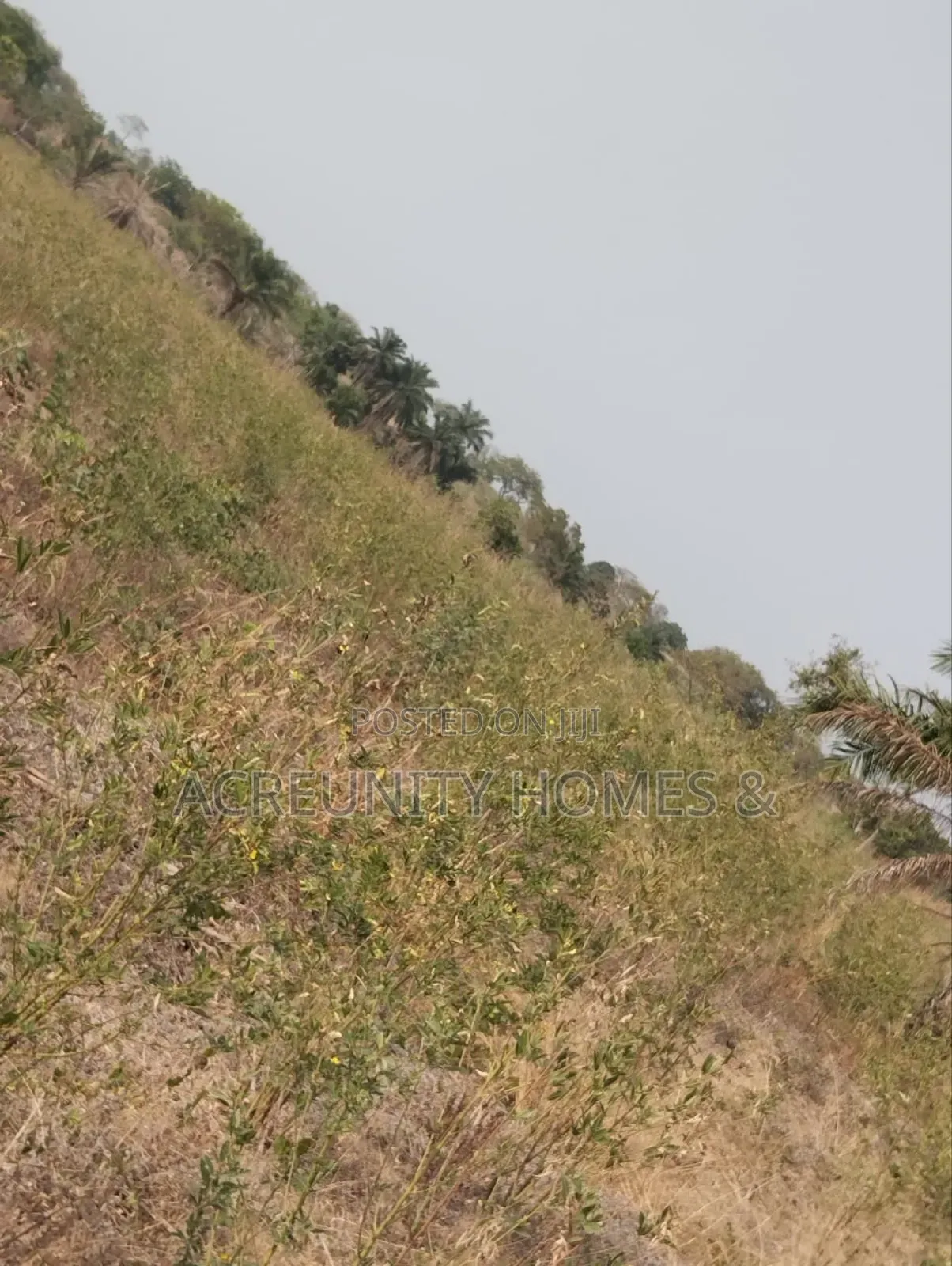 130 Acres of Land – Alobo Village, Along Iseyin–Ikere (George Dam Axis