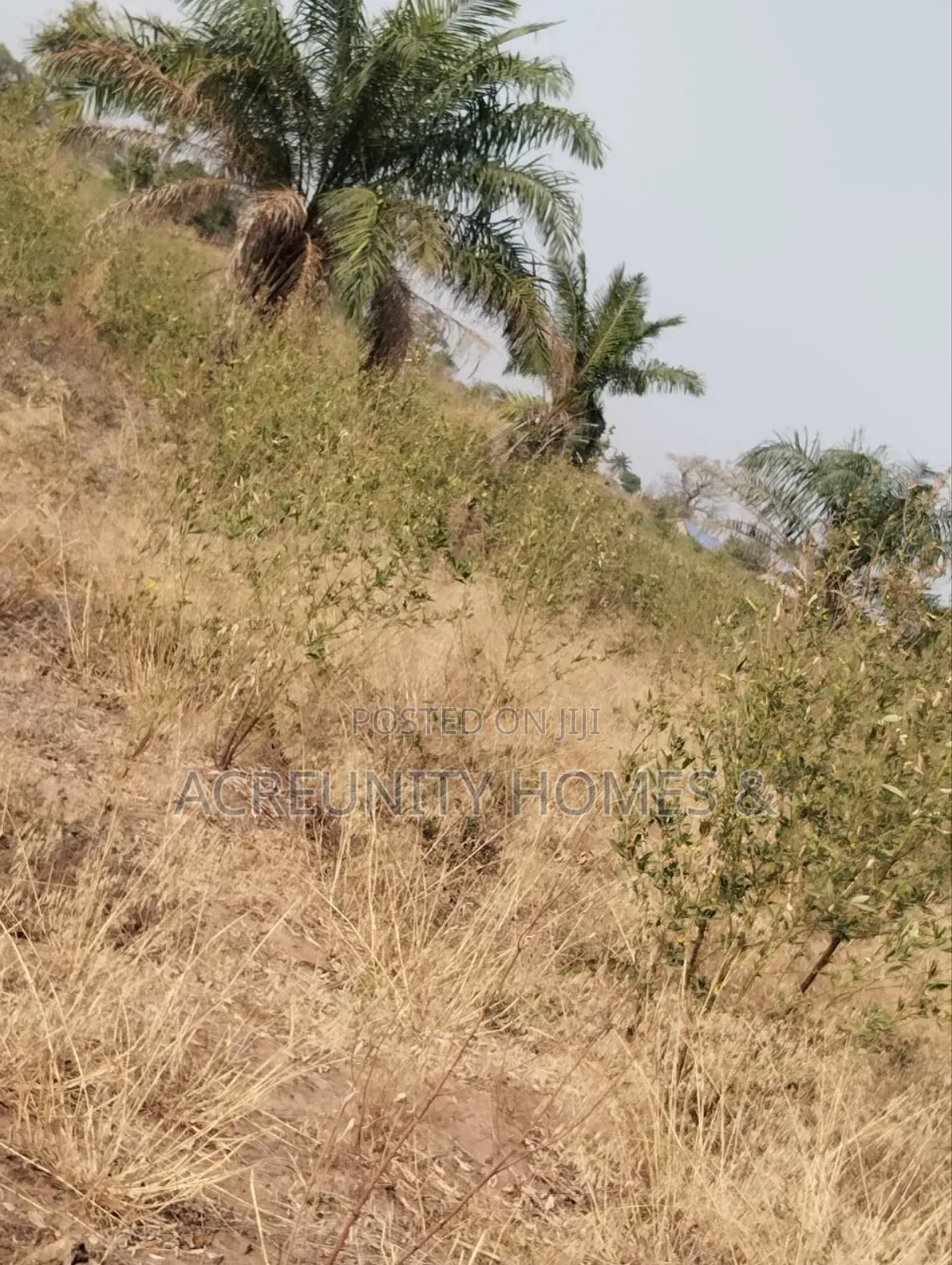 130 Acres of Land – Alobo Village, Along Iseyin–Ikere (George Dam Axis
