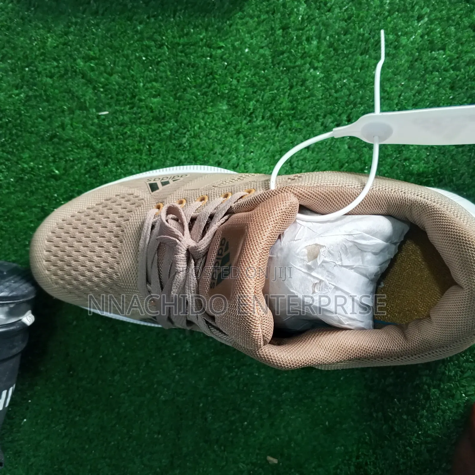 Sneakers Canvas