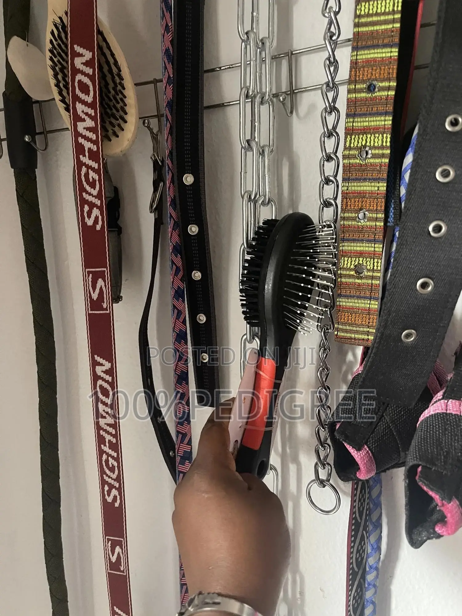 Dog Brush And Rake