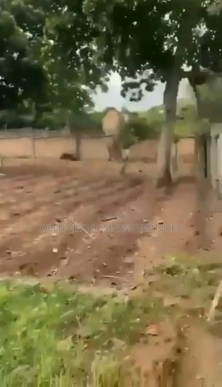 1,500sqm of Residential Land at Akere Close