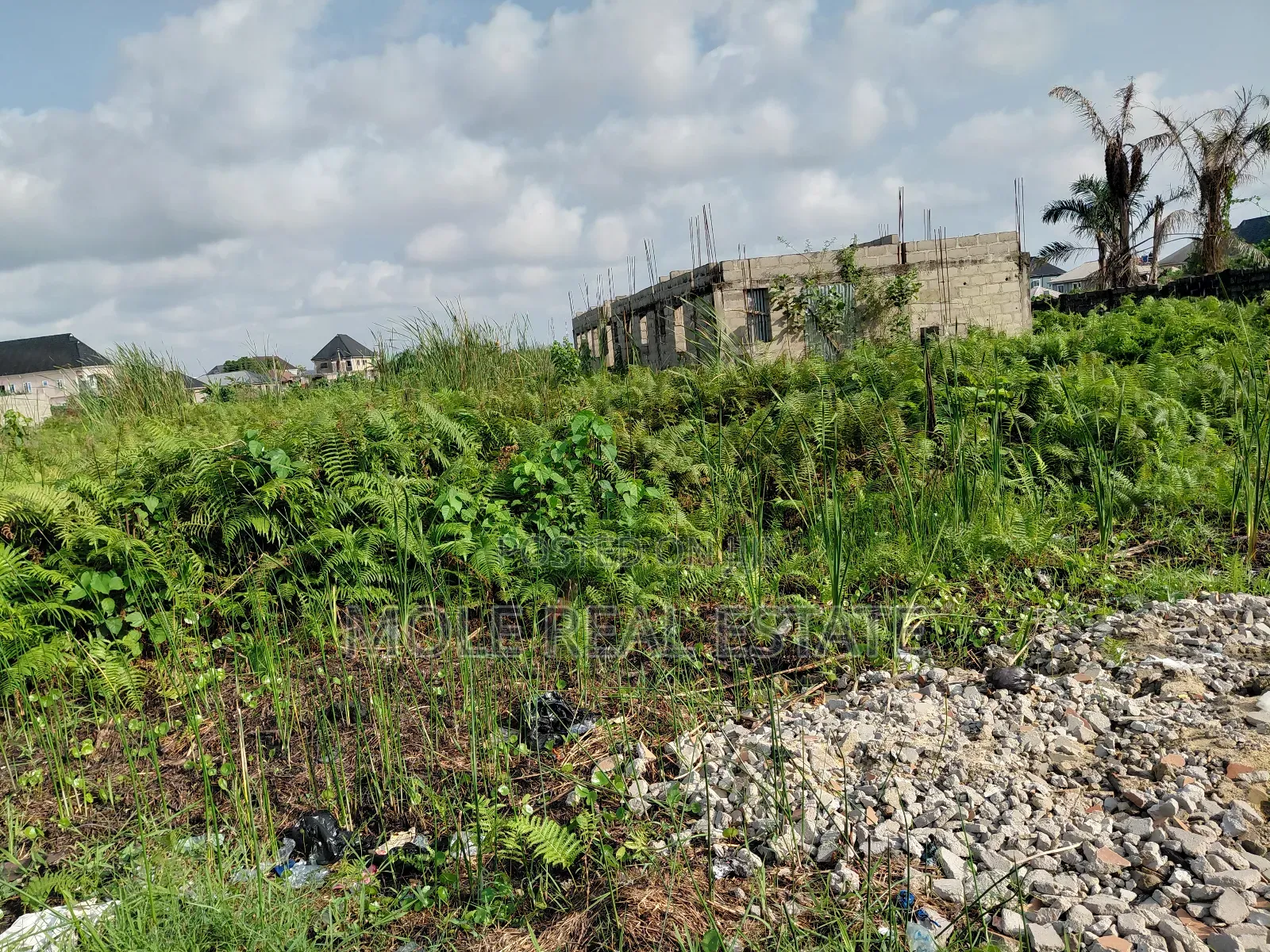Full Plot (600sqm ) Olorunsogo B/Stop Near Iyana Isash Ojo Lagos