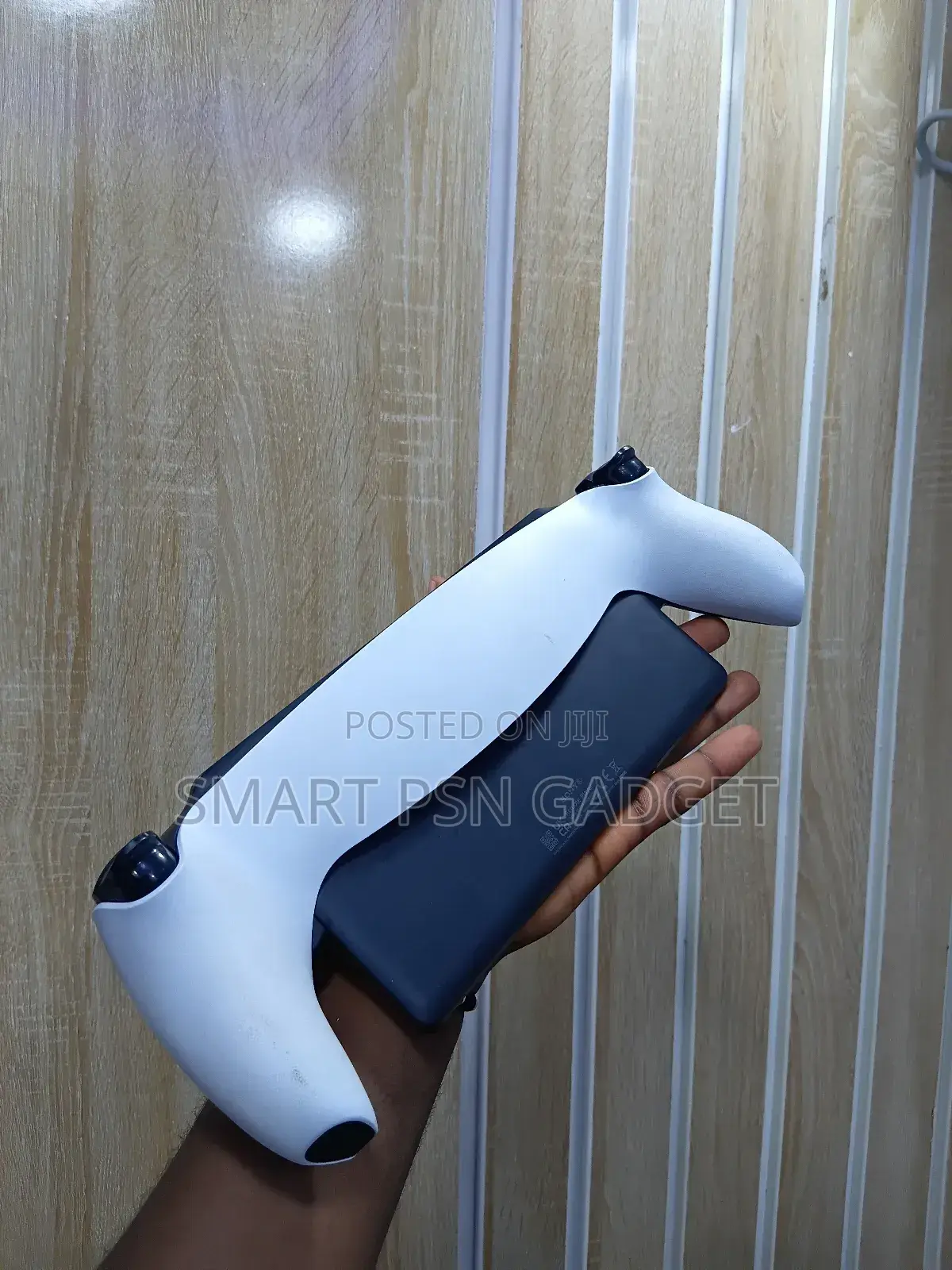 Playstation 5 Portal