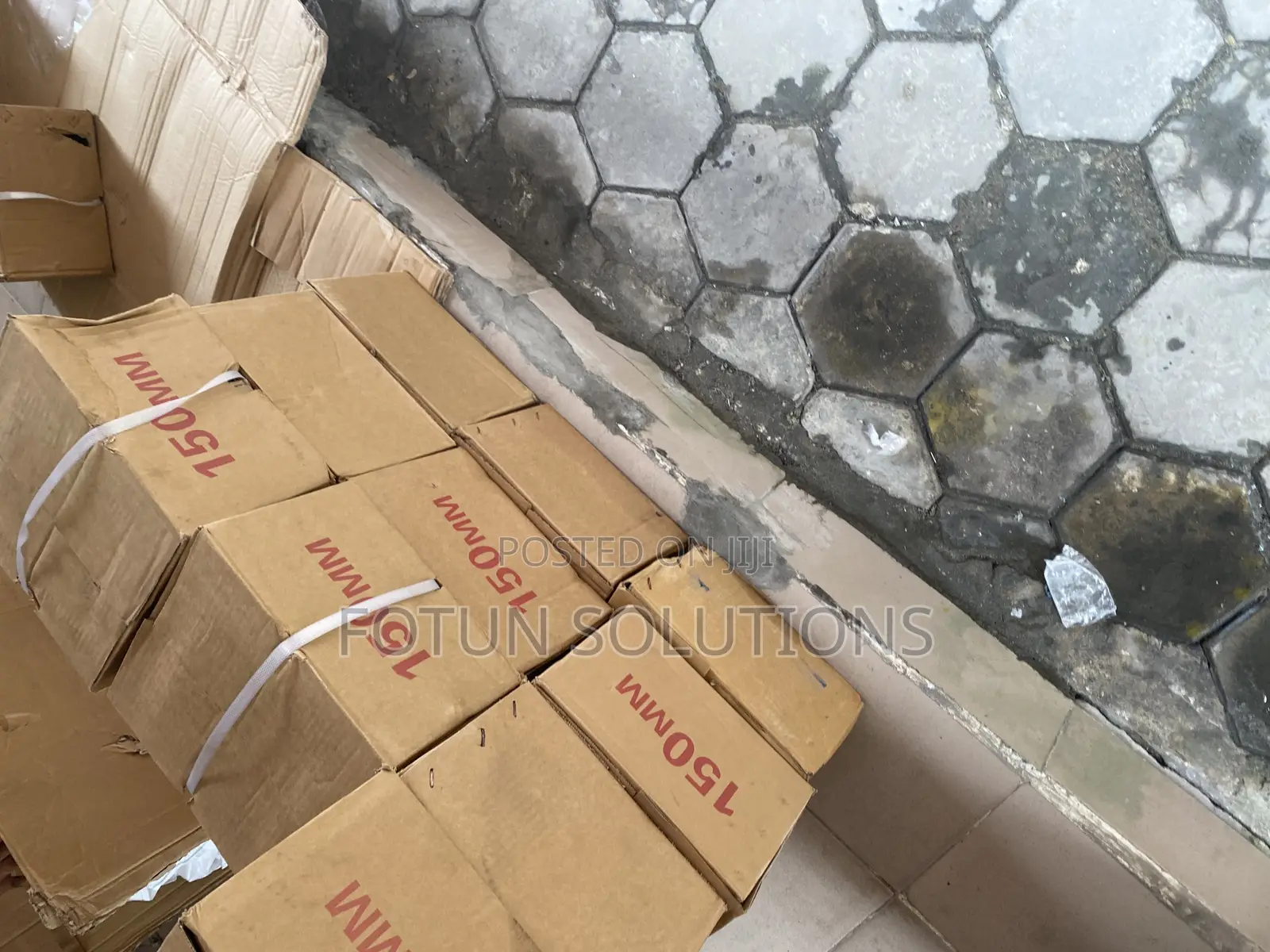 Cub Mold Ion