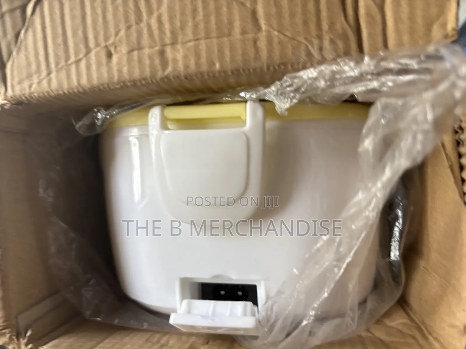 Electric/ Electronic Lunch Box