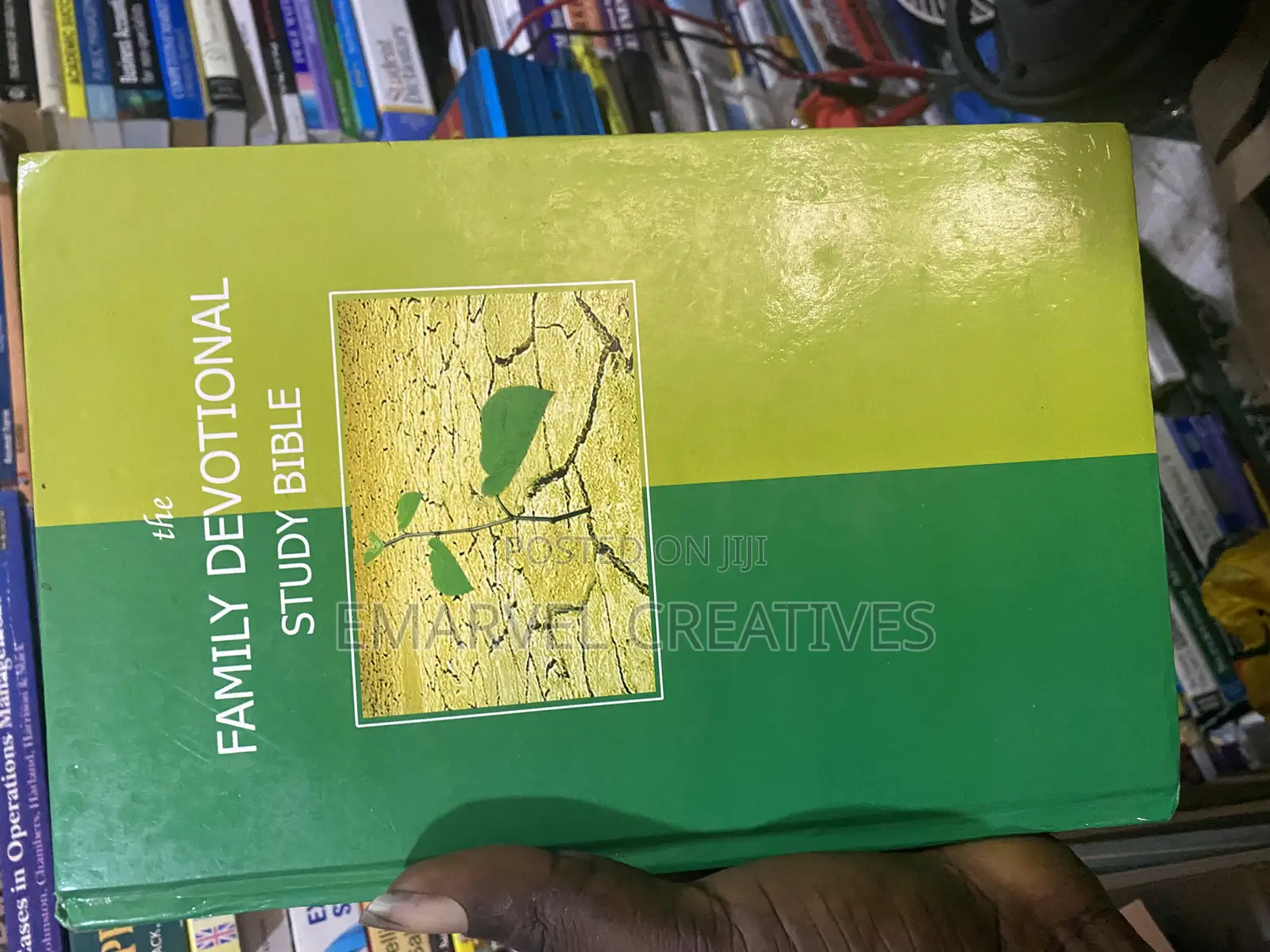 Family Devotional Bible