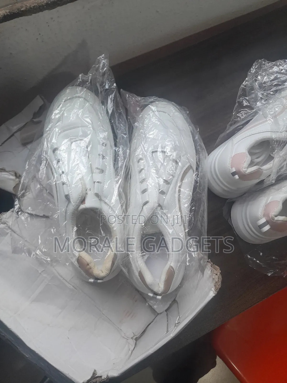 Female Fashion Sneakers