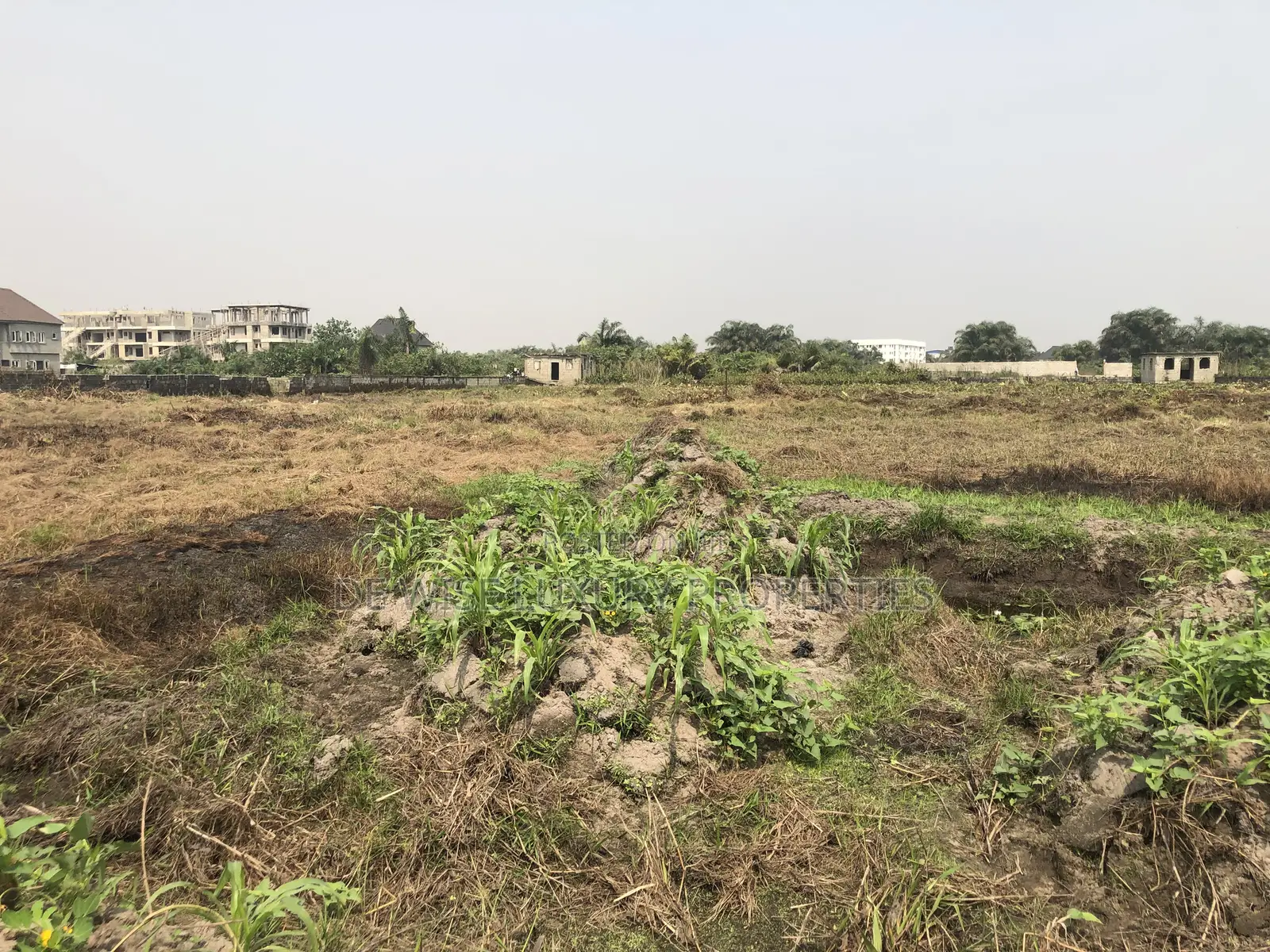 Land in an Estate in Umuelu Umuagwo Community, Ohaji Egbema, Imo