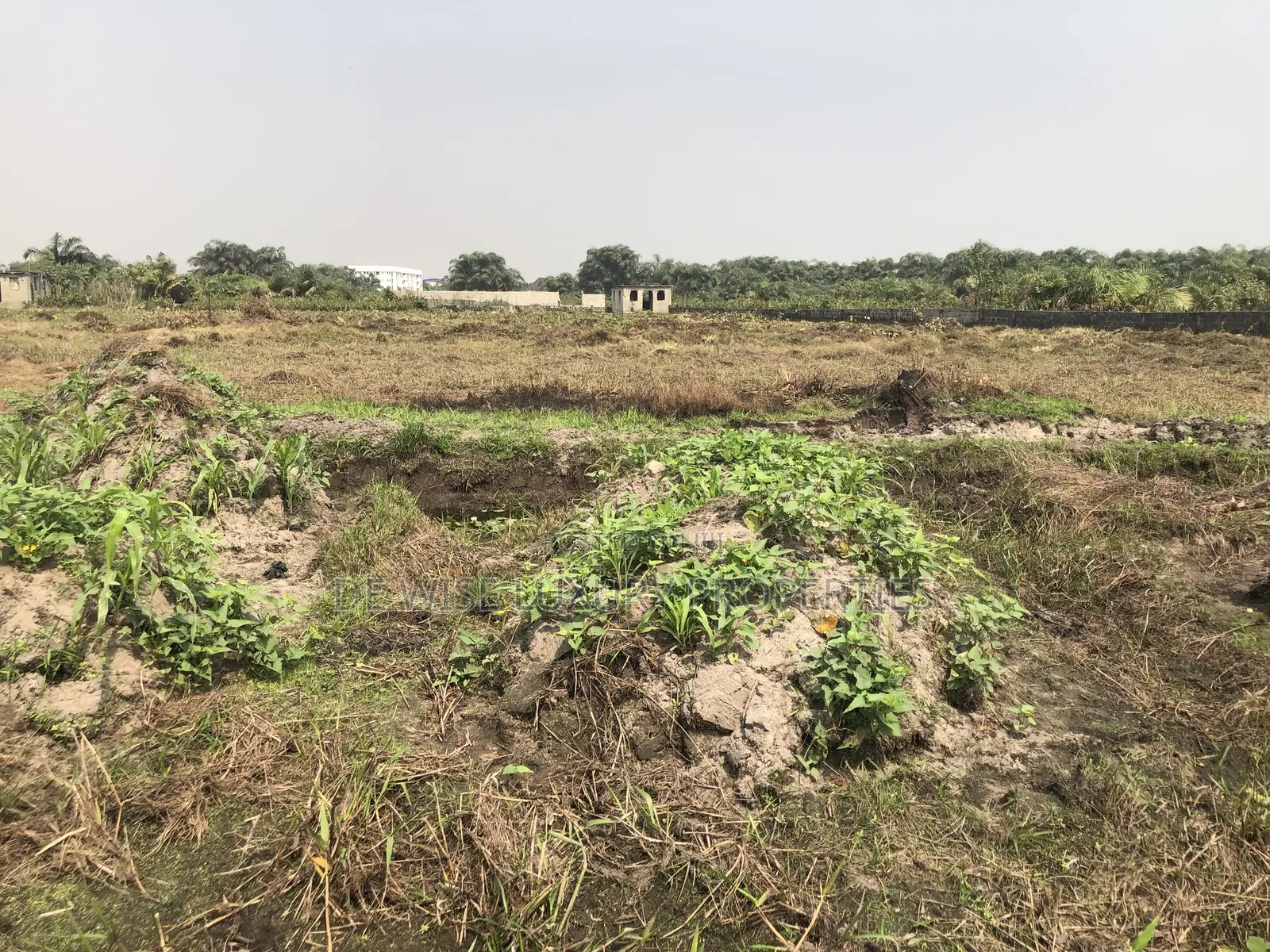 Land in an Estate in Umuelu Umuagwo Community, Ohaji Egbema, Imo