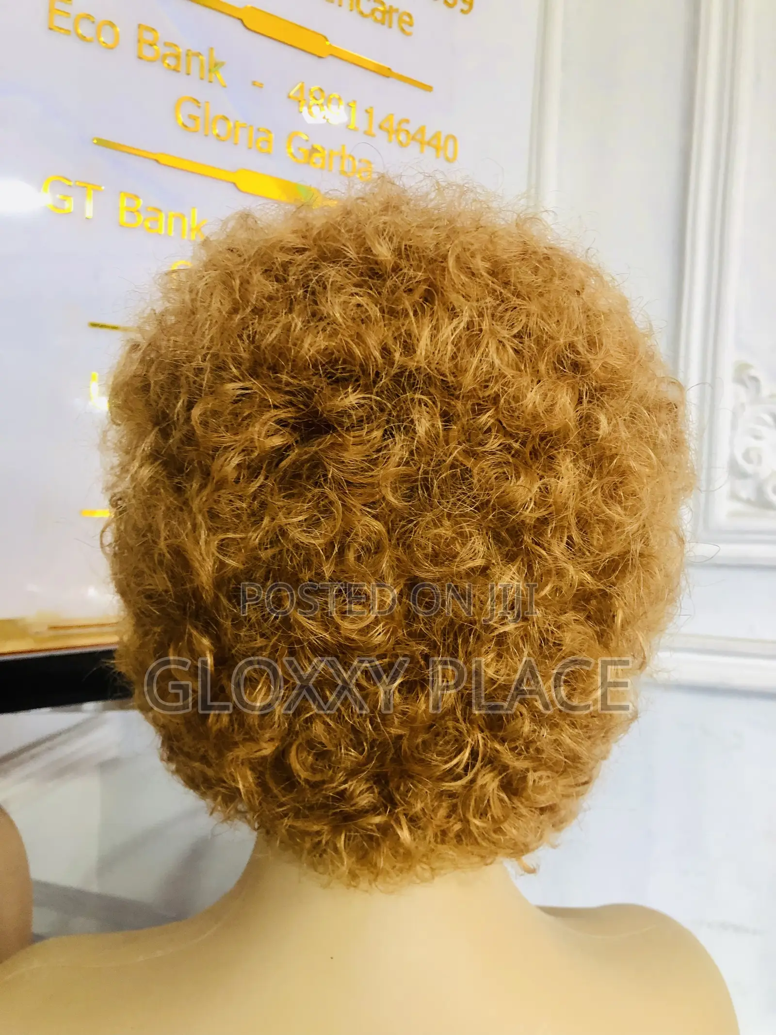 Hair Wig With Full Fronter
