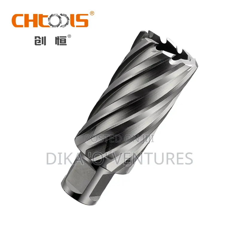 100 Ton Electronic Hydraulic Cylinder Lifter Hydraulic Jack