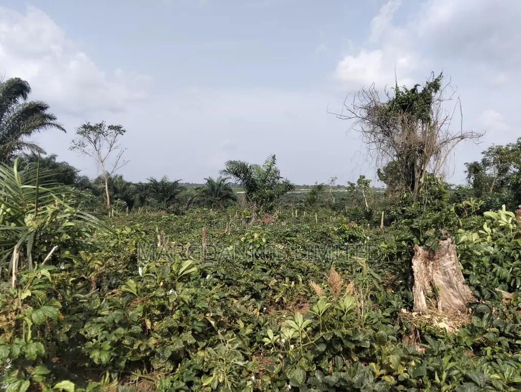 Sales, 60 Plots of Land, at Back of Adron Homes, Emuren Rd. Off Imota