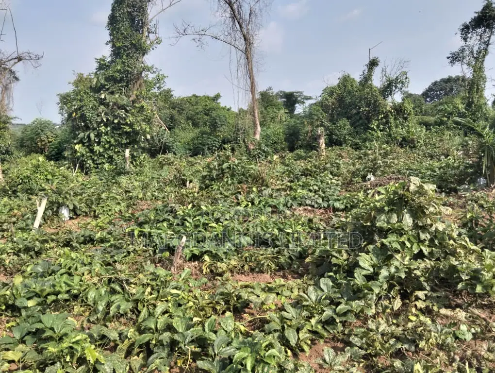 Sales, 60 Plots of Land, at Back of Adron Homes, Emuren Rd. Off Imota