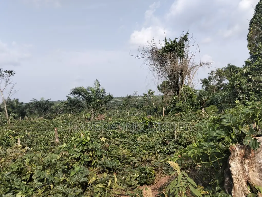 Sales, 60 Plots of Land, at Back of Adron Homes, Emuren Rd. Off Imota
