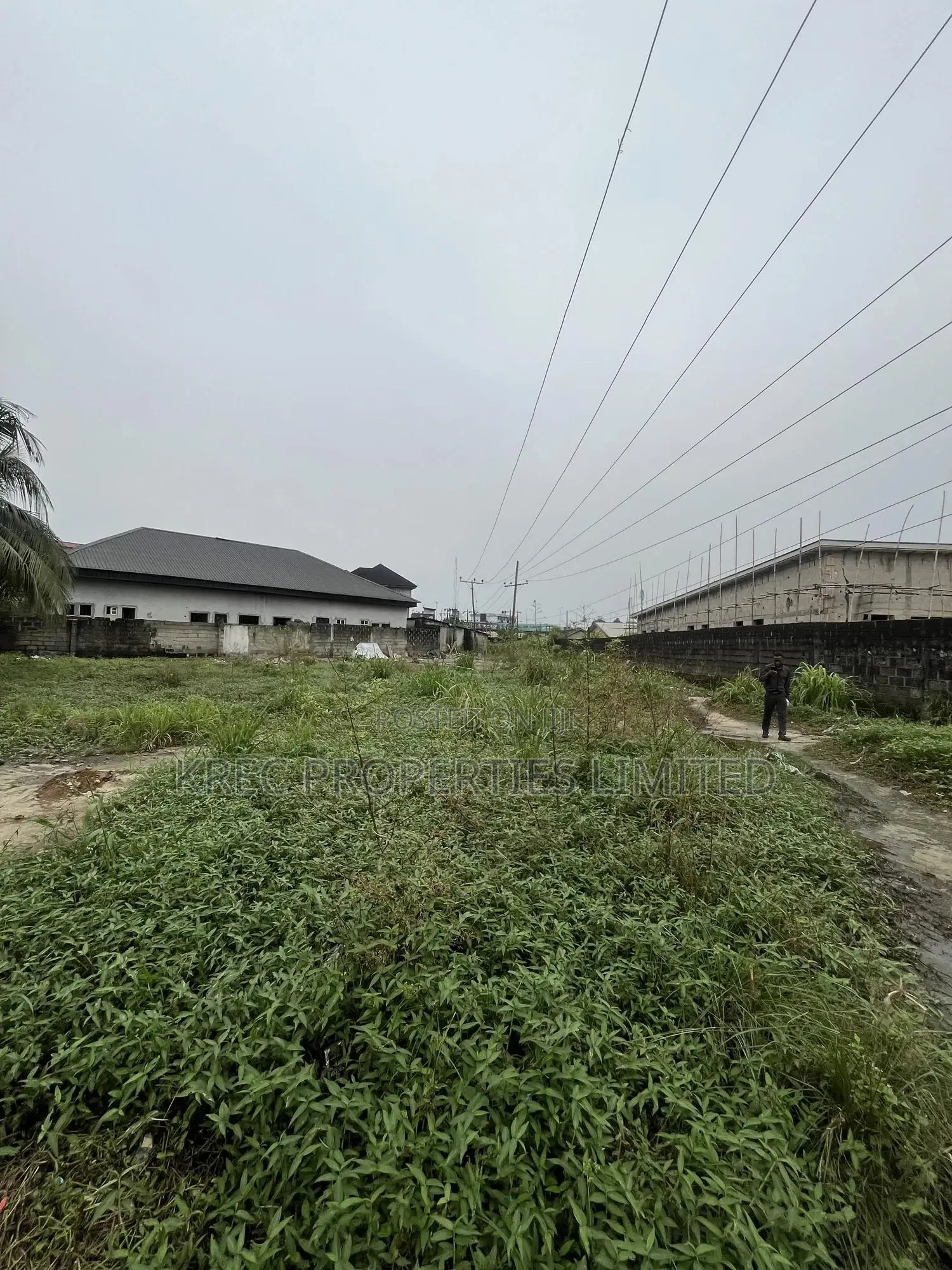 Certificate of Occupancy Cofo