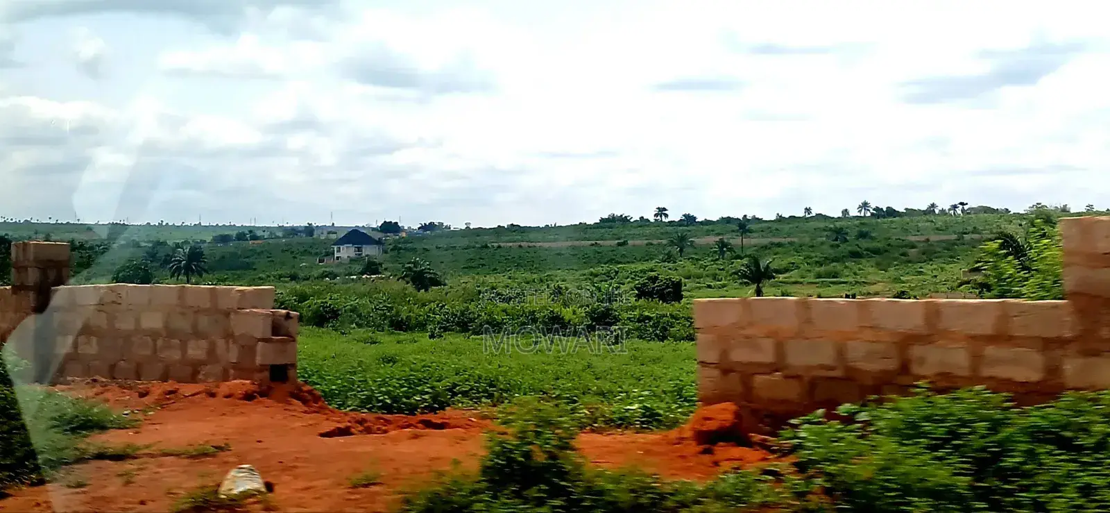 You’Re Still Early — St. Kitts, Ibusa Expansion