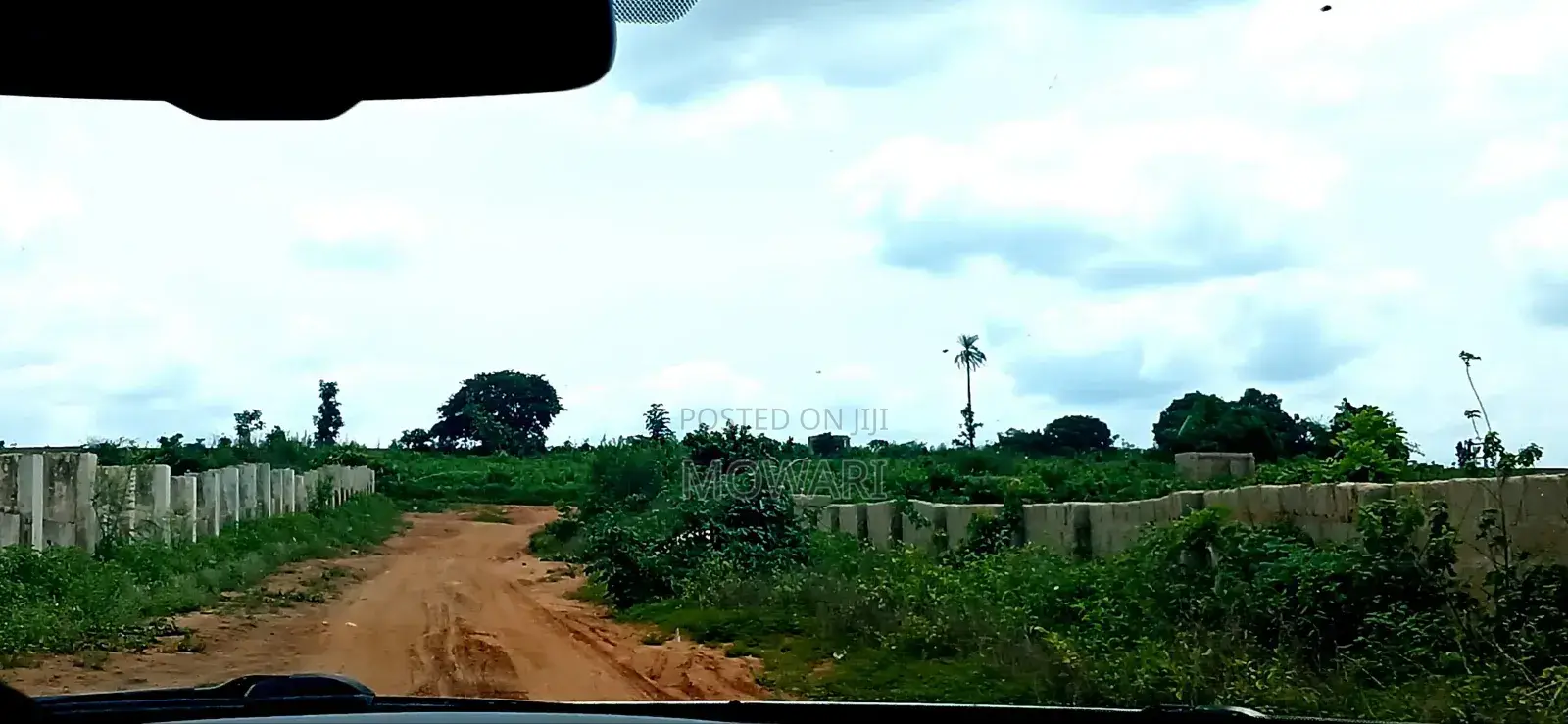 You’Re Still Early — St. Kitts, Ibusa Expansion