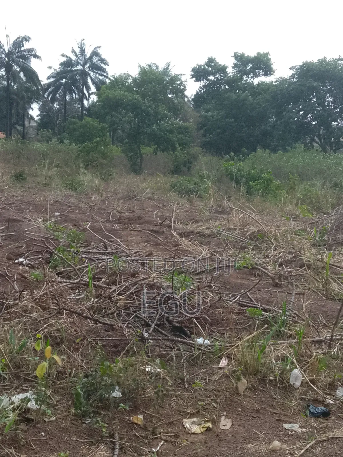 Land at Independence Layout Phase 2