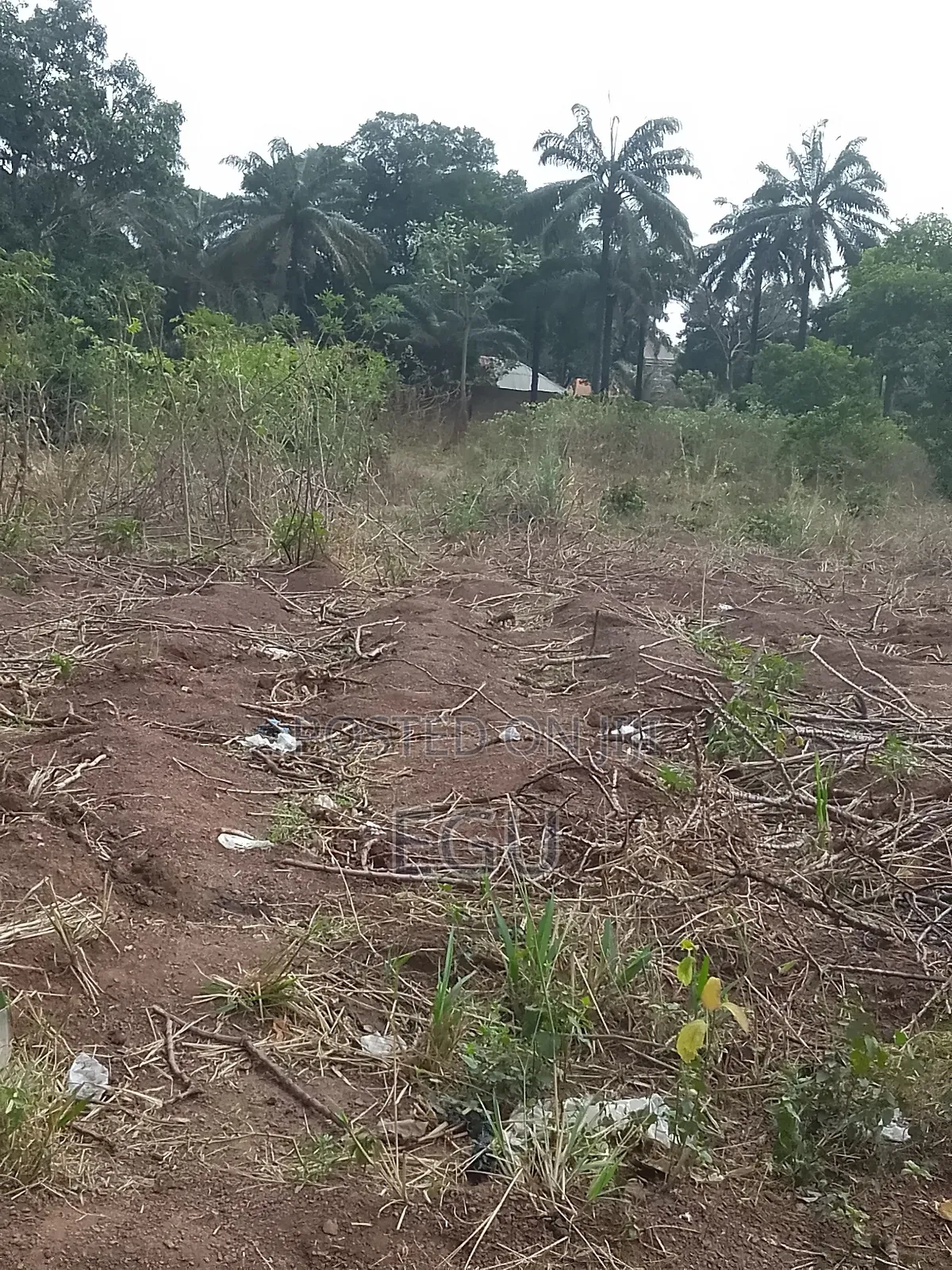 Land at Independence Layout Phase 2