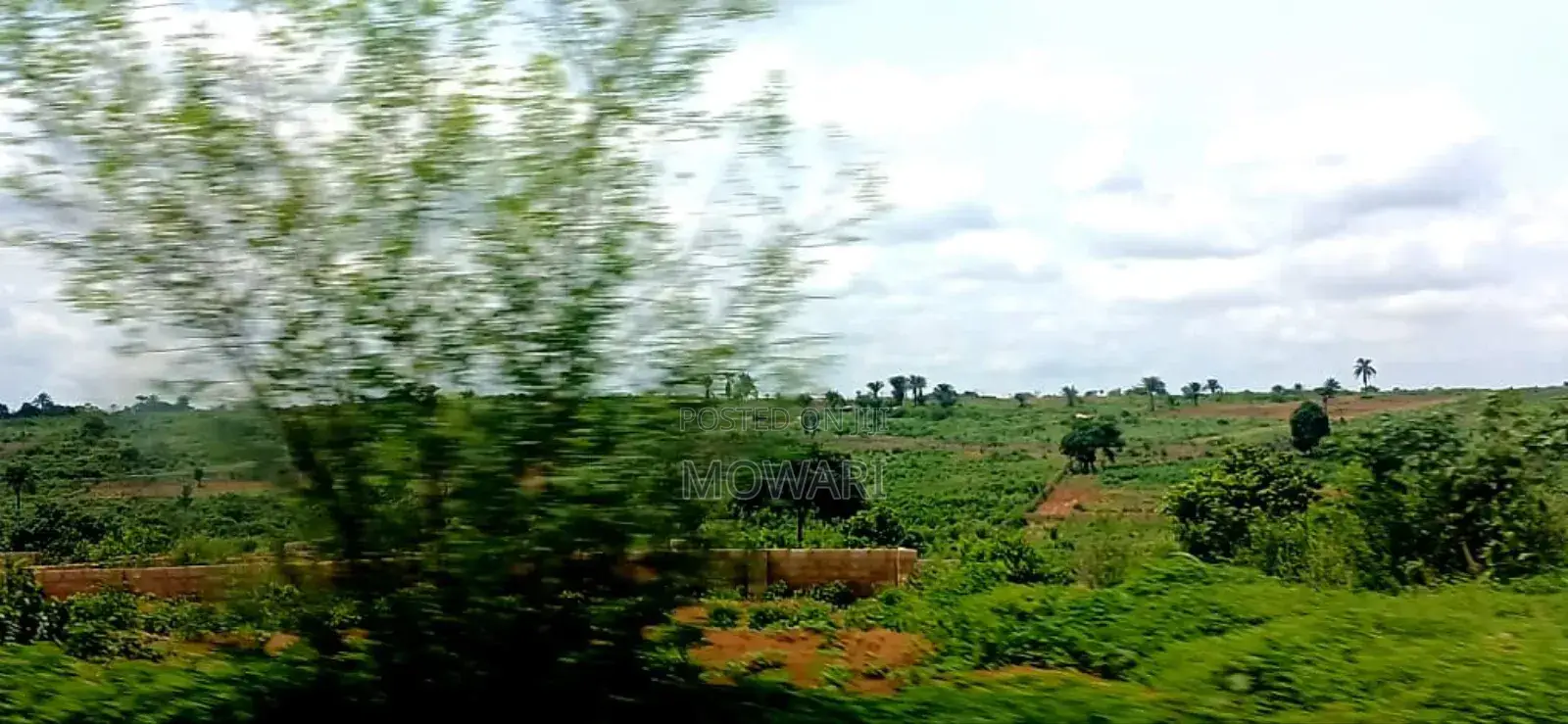 Secure Land Now — Entry Still Soft