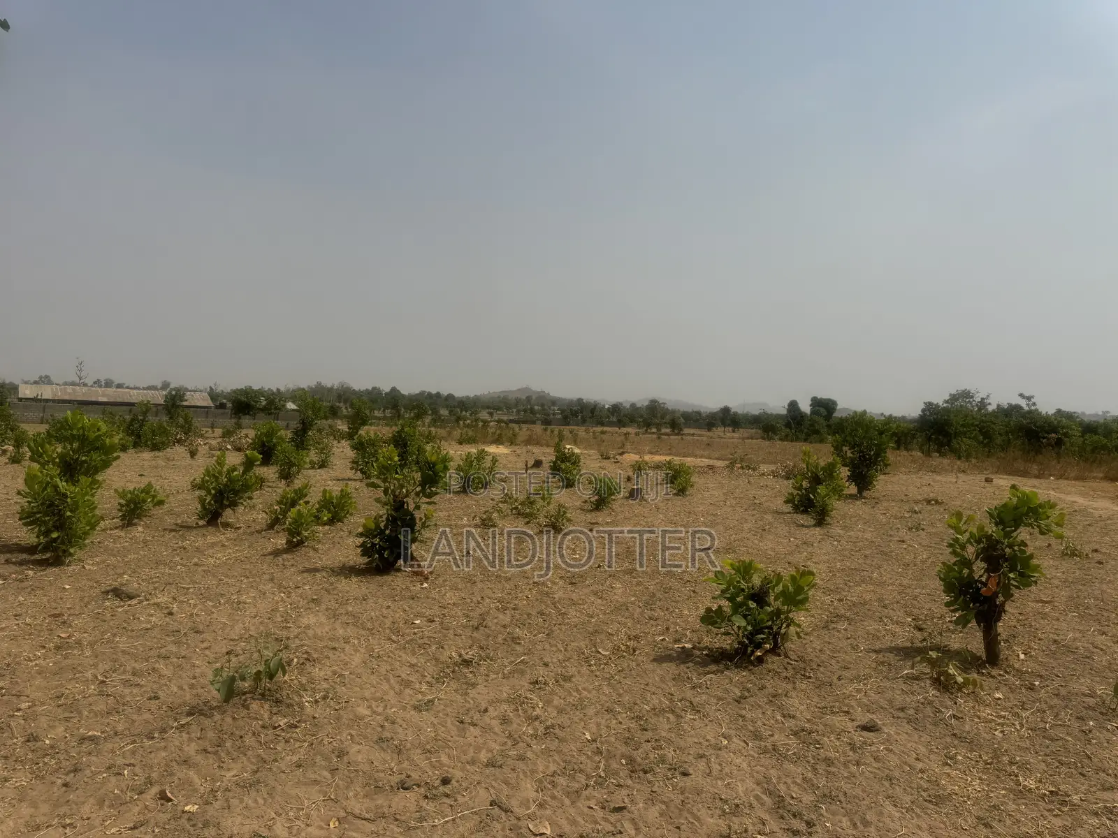 Apo Hectare 250m