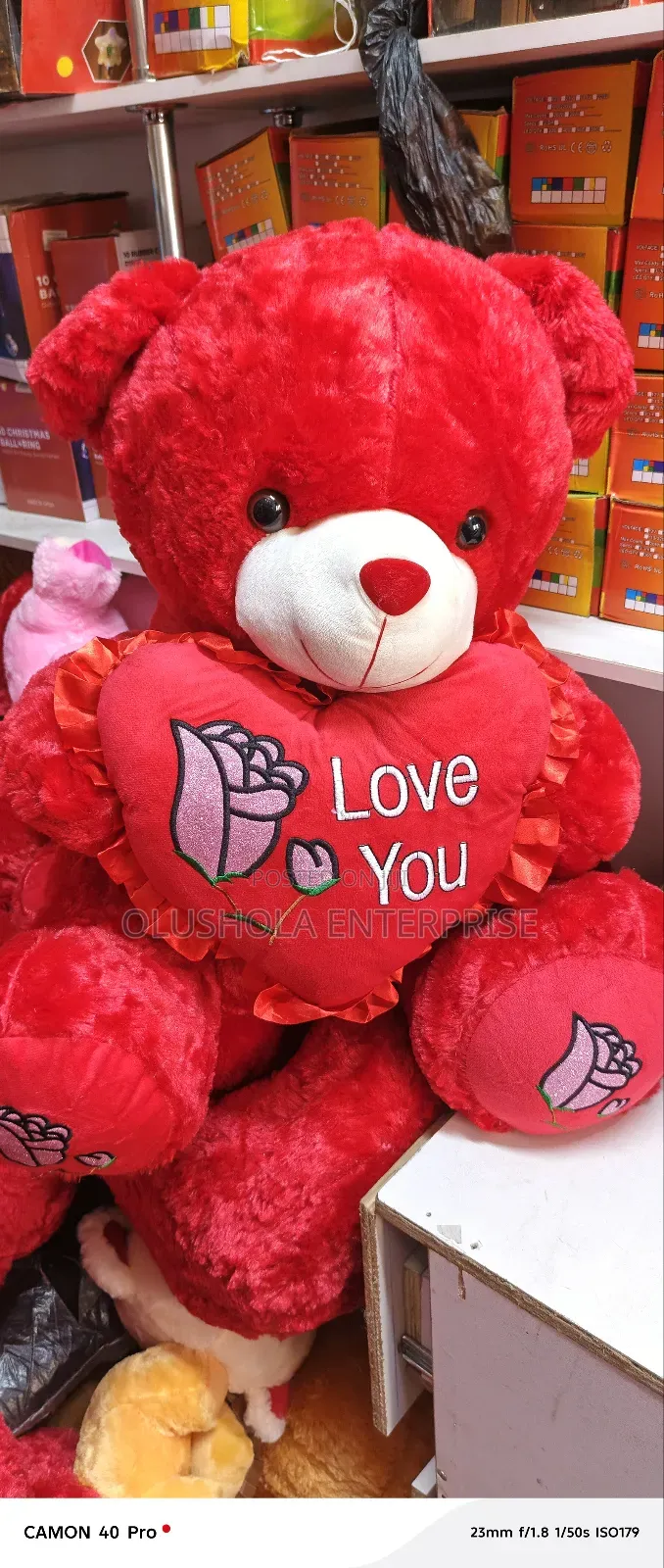60cm Teddy Bear