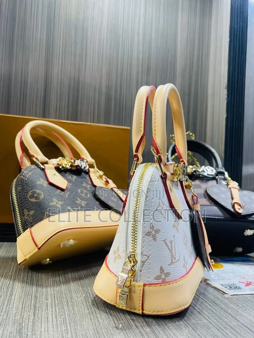Luxe Lv Mini Chic Bag  Available in 2 Pretty Colors  White  Brown