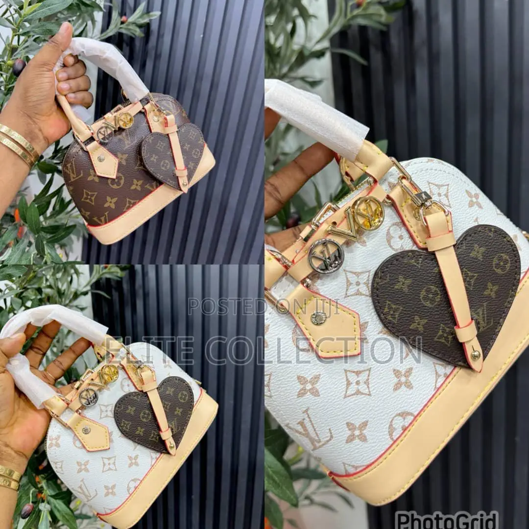 Luxe Lv Mini Chic Bag  Available in 2 Pretty Colors  White  Brown