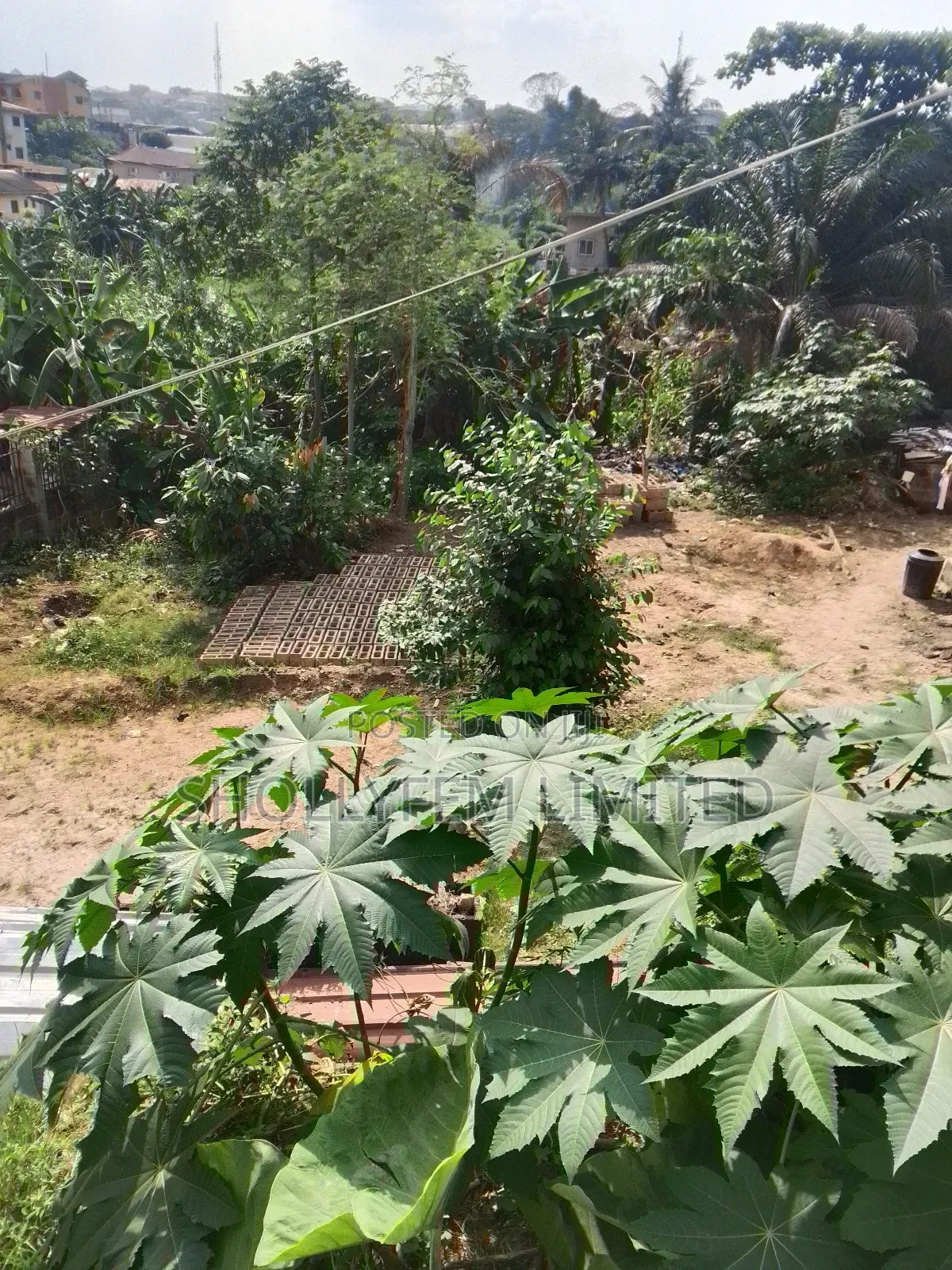 Land for Sale