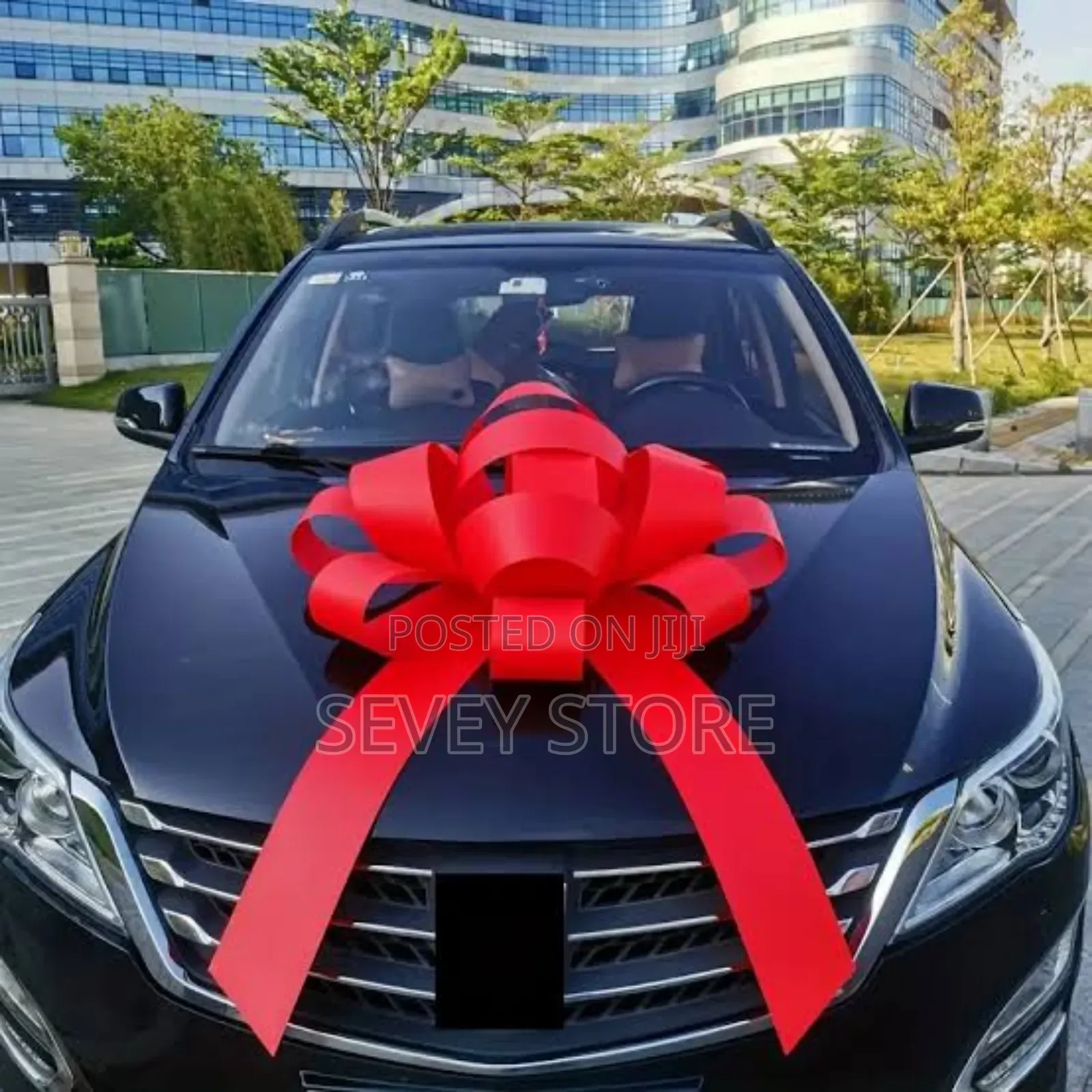 Car Gift Large Decorative Ribbon for Birthday