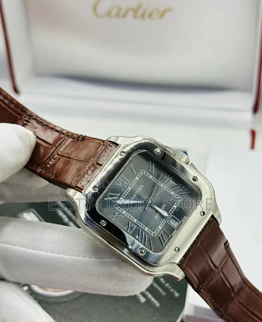 Automatic Cartier D Santos Leather Watch Stainless Steel