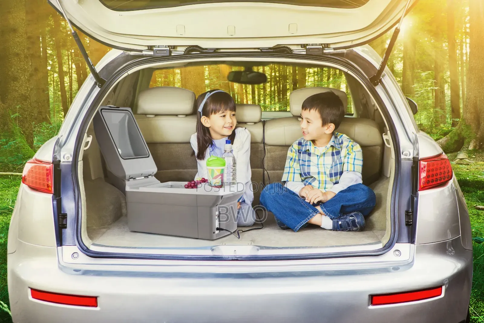 Wagantech Car Refrigerator| 12v