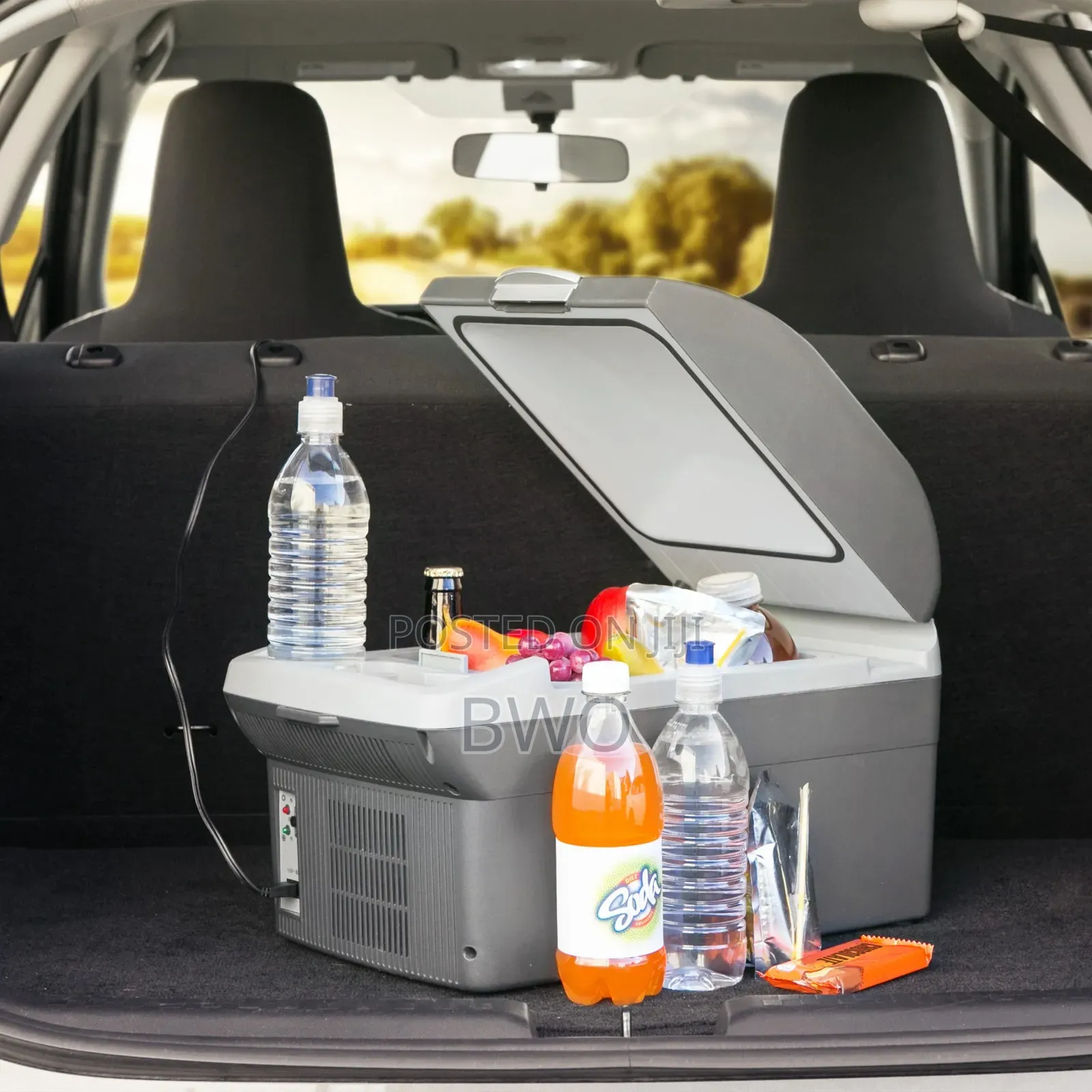 Wagantech Car Refrigerator| 12v
