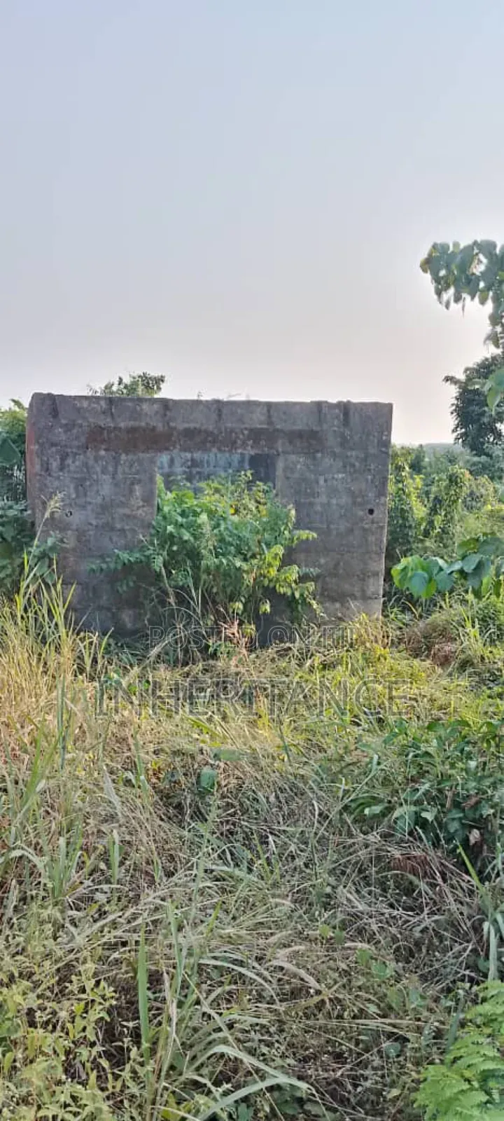 2bdrm Bungalow in Innec, Agric for sale
