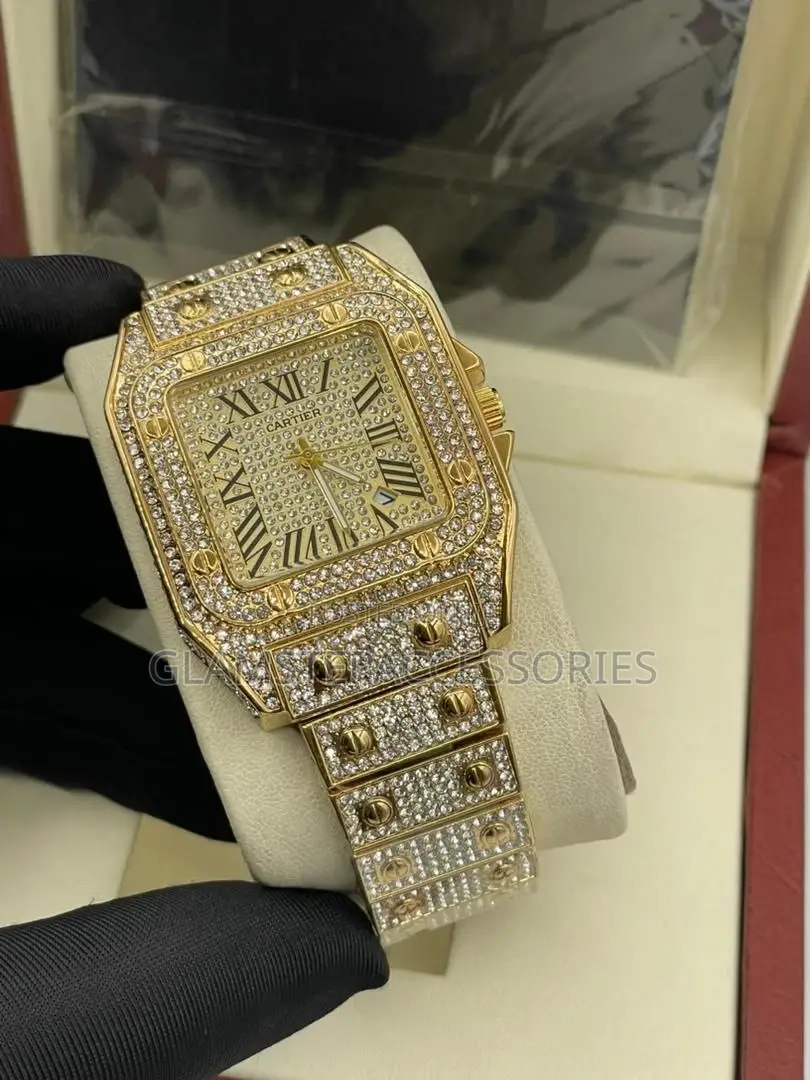 Cartier Ice Watch